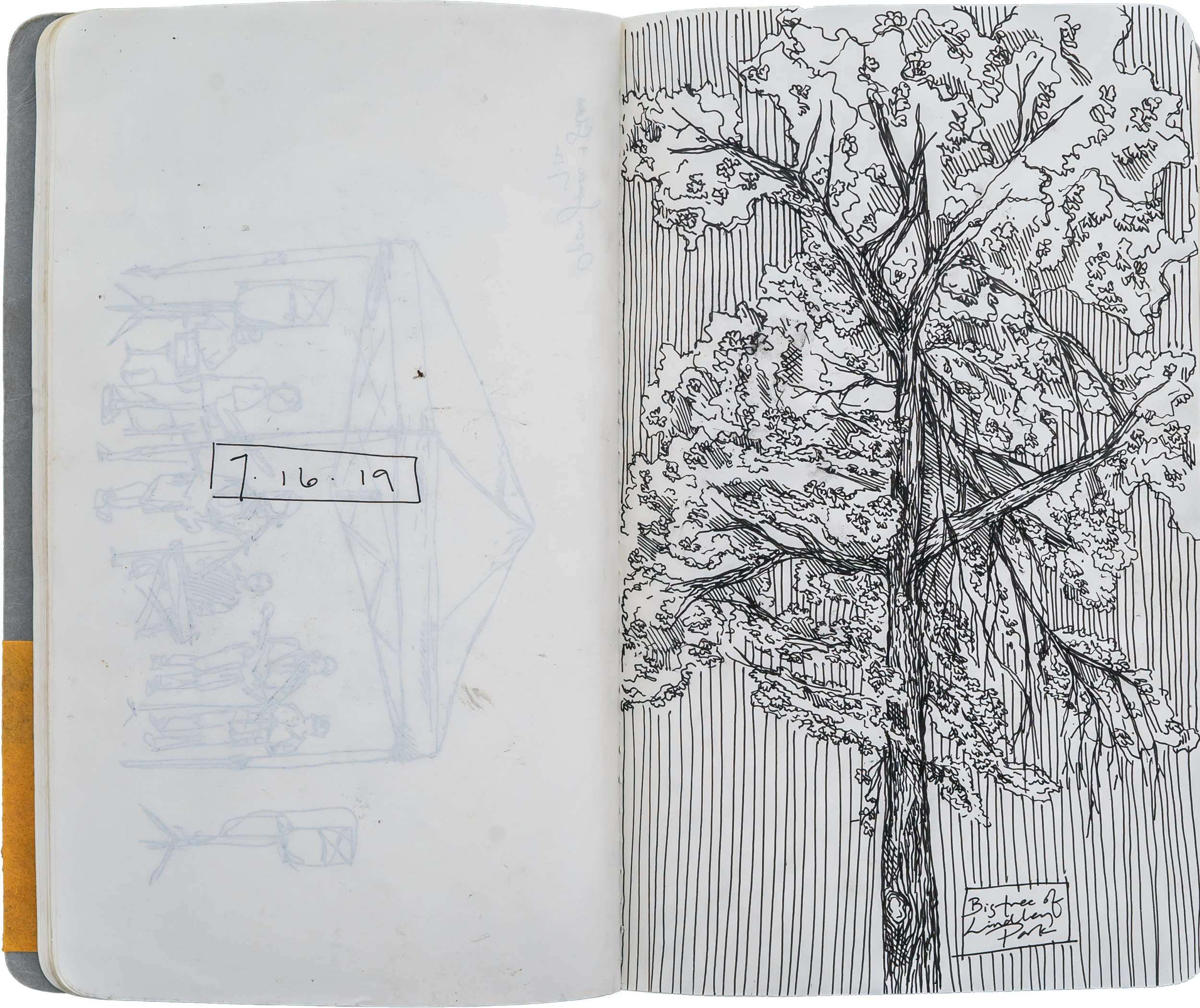 sketches_website.png