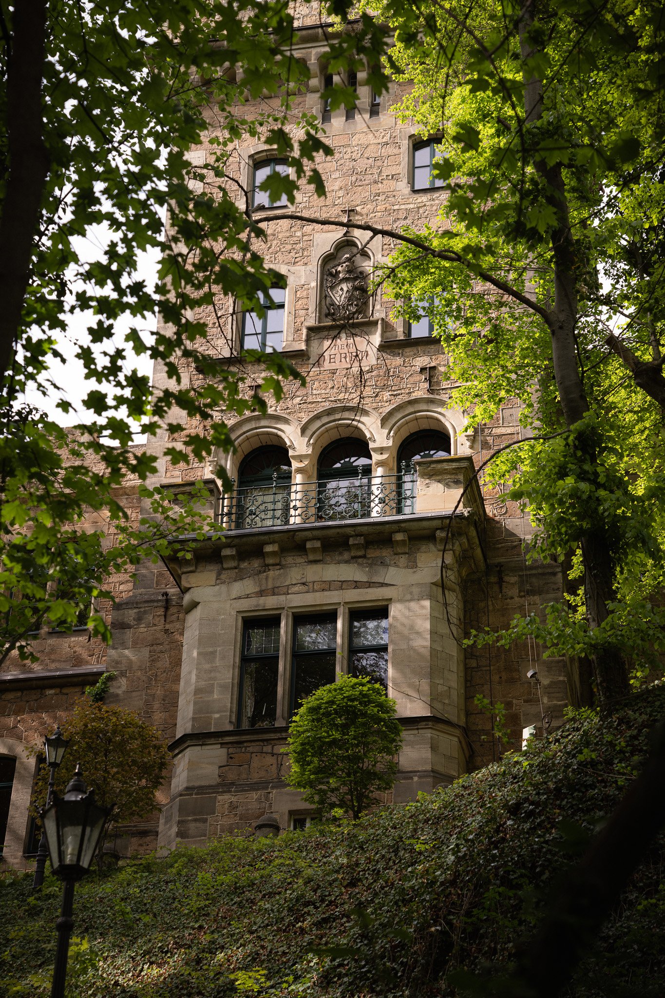 DSC01388.jpg