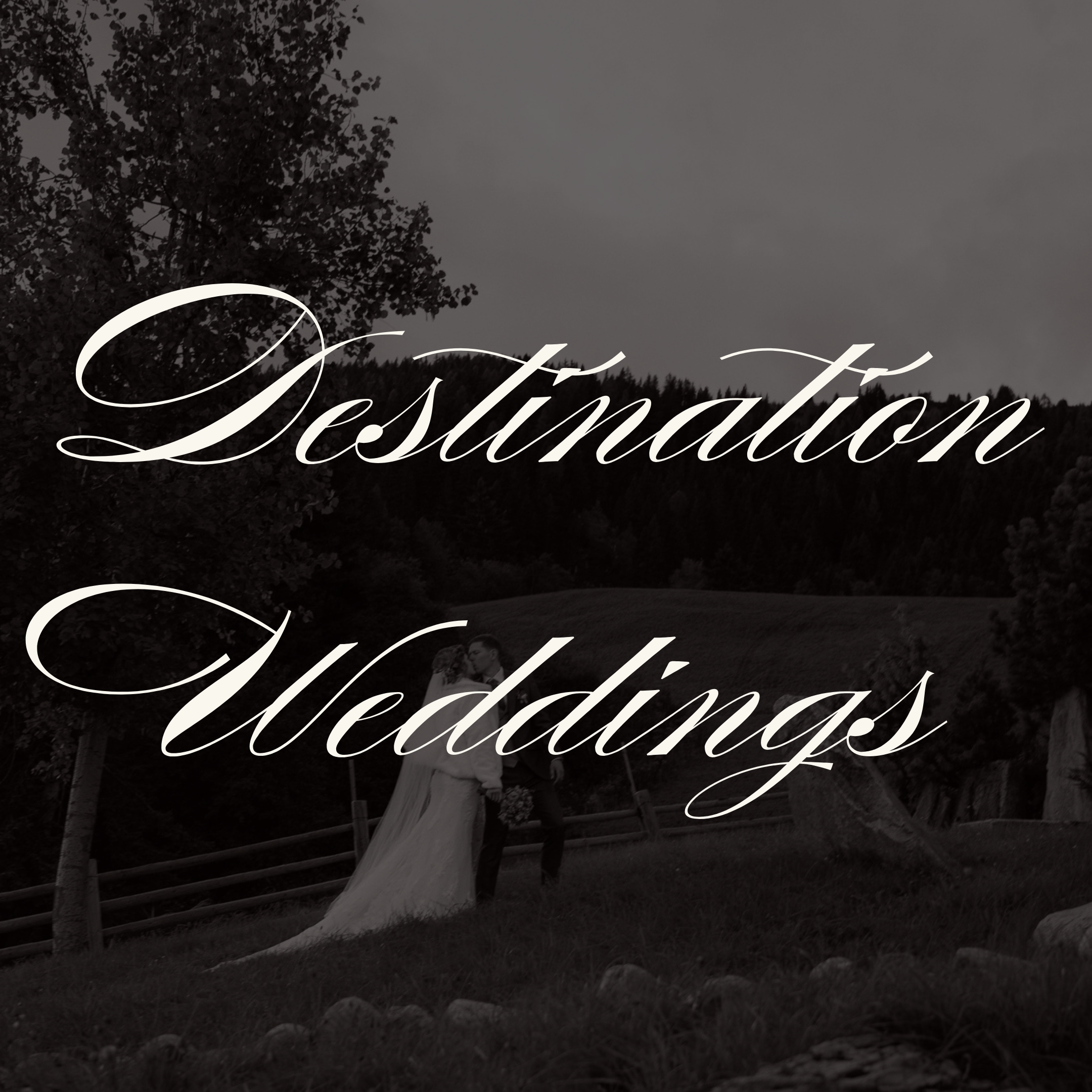 Europe Destination Wedding.png