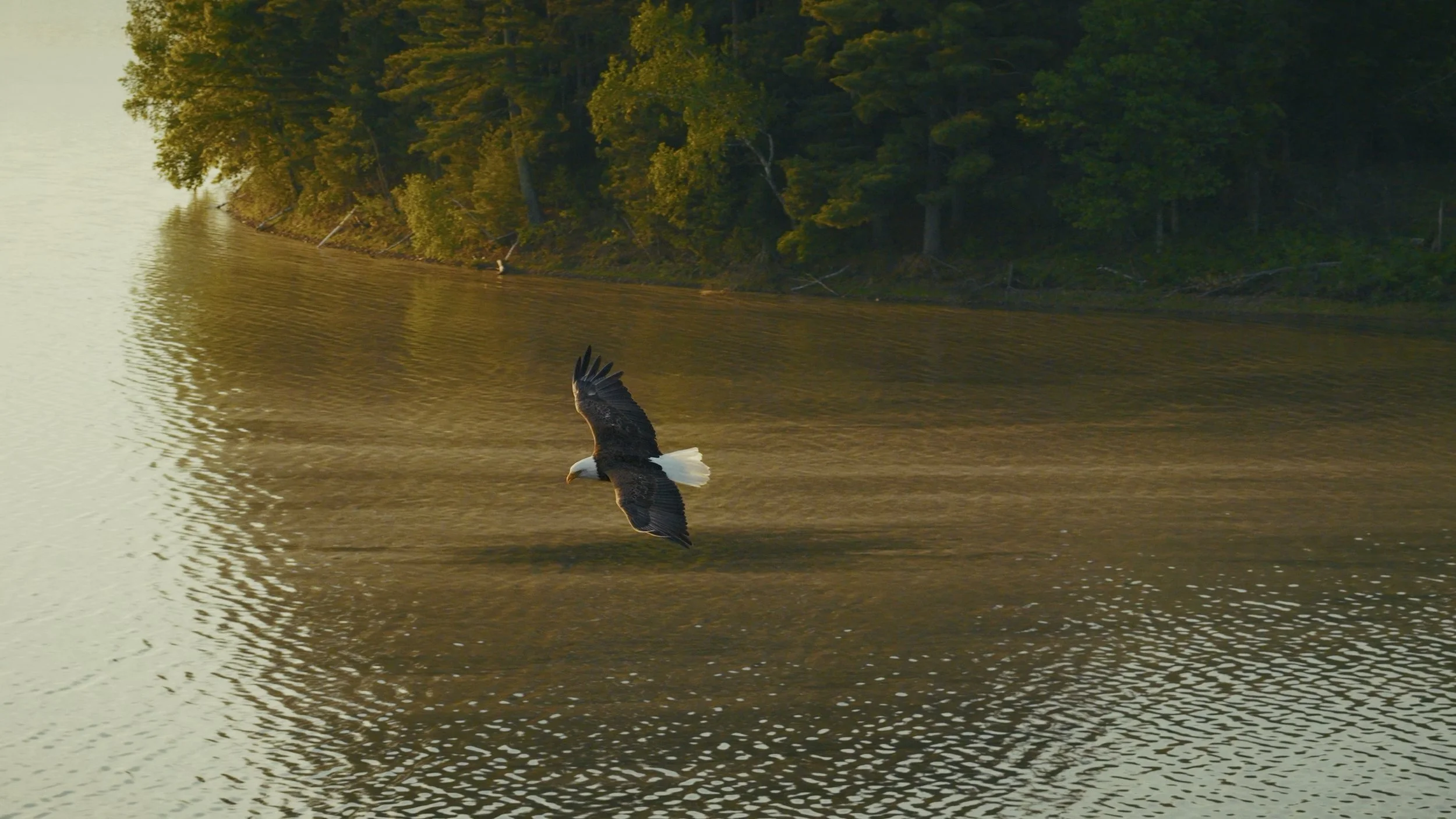 drone_reel_h265final-4.jpg