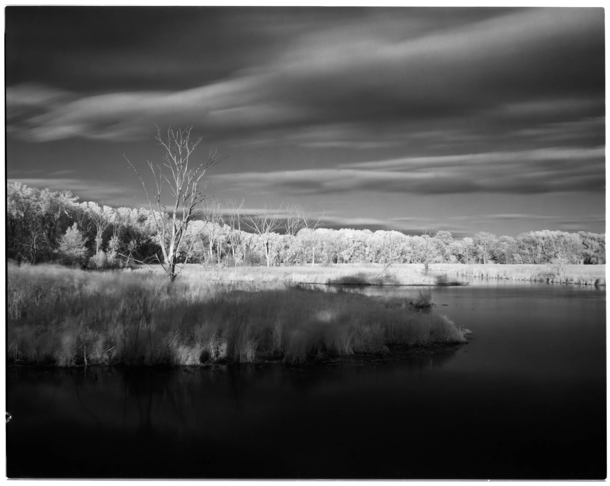 infra_4x5-2-Edit print 2.jpg