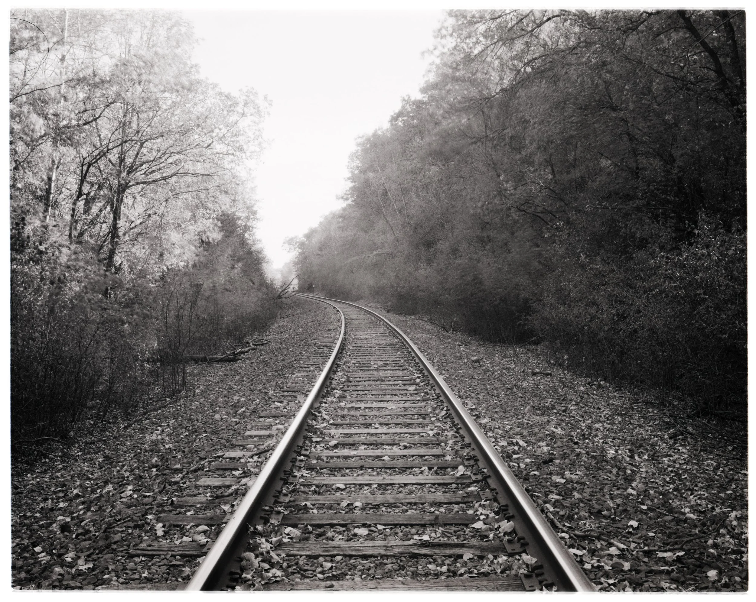 wow 4x5b&w (2).jpg