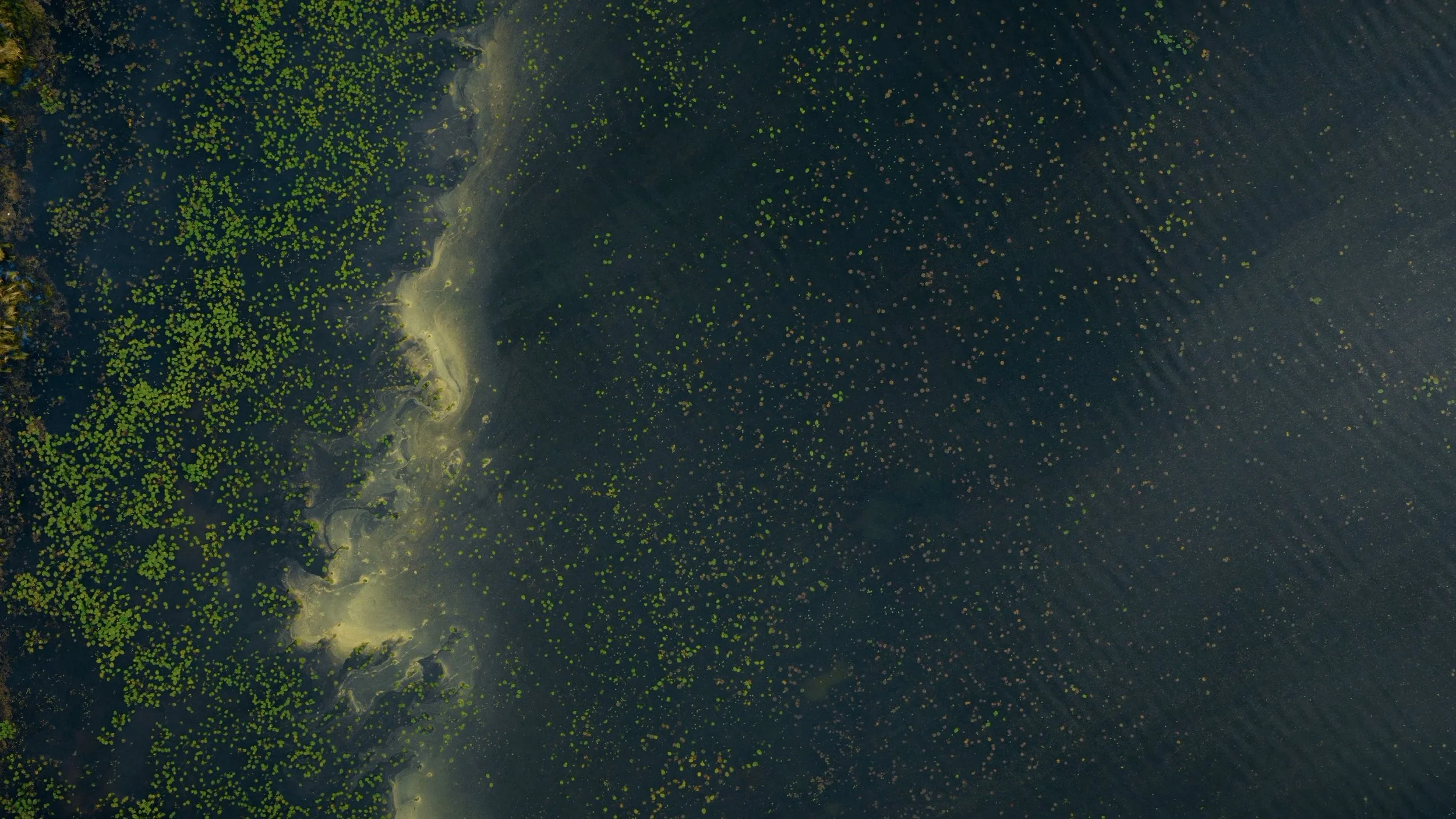 drone_reel_h265final-3.jpg