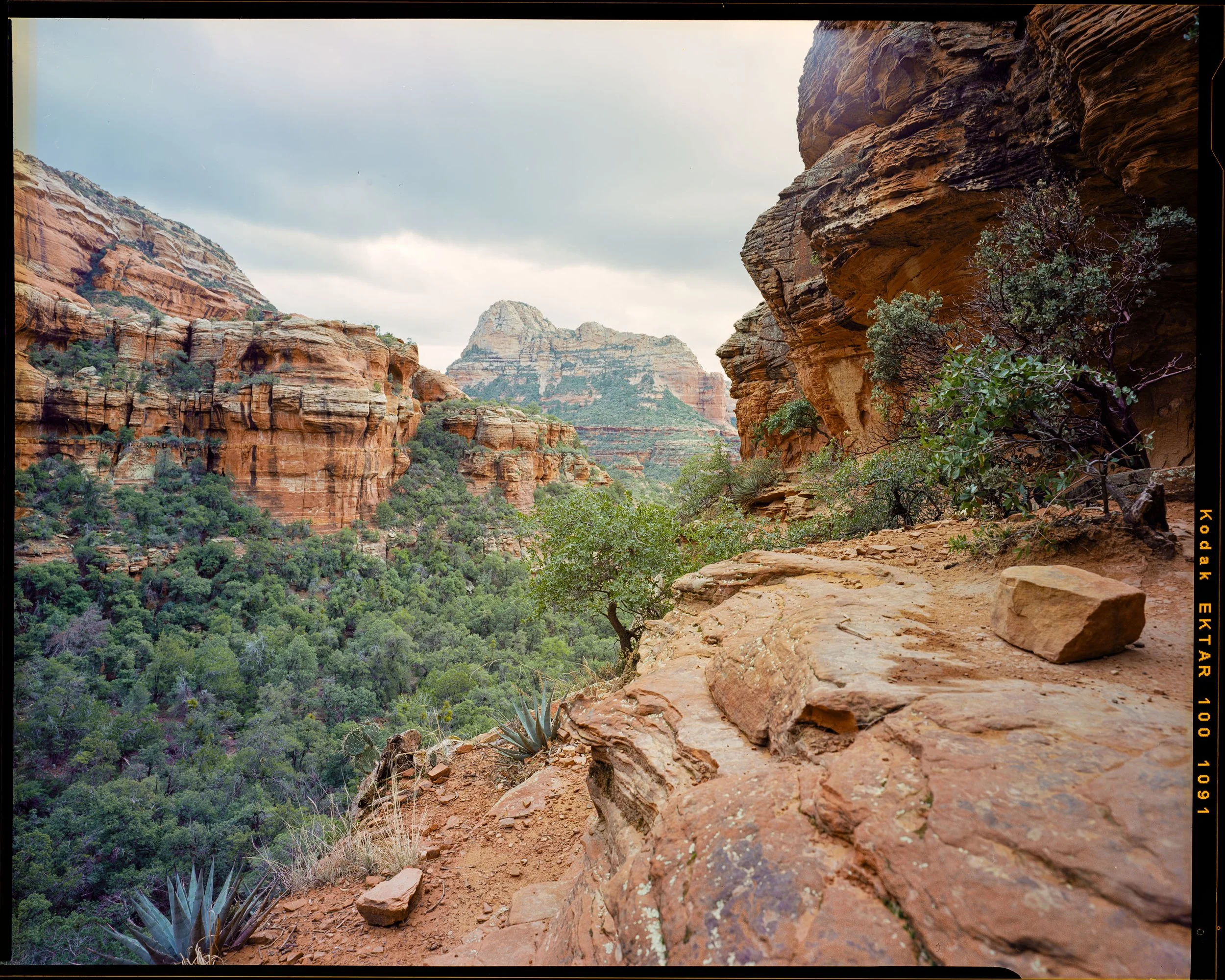 Sedona_1 copy.jpg
