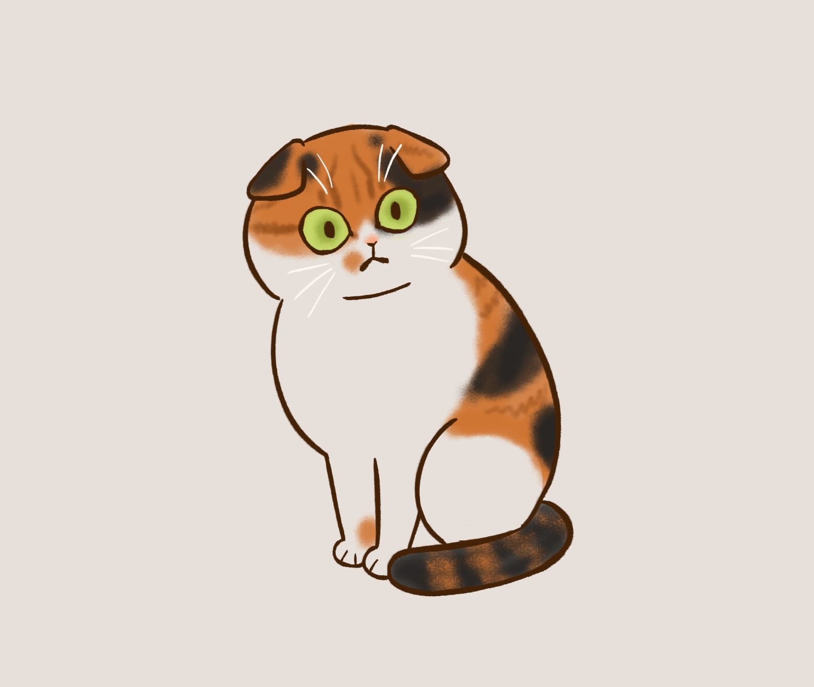 IMG_9033.png
