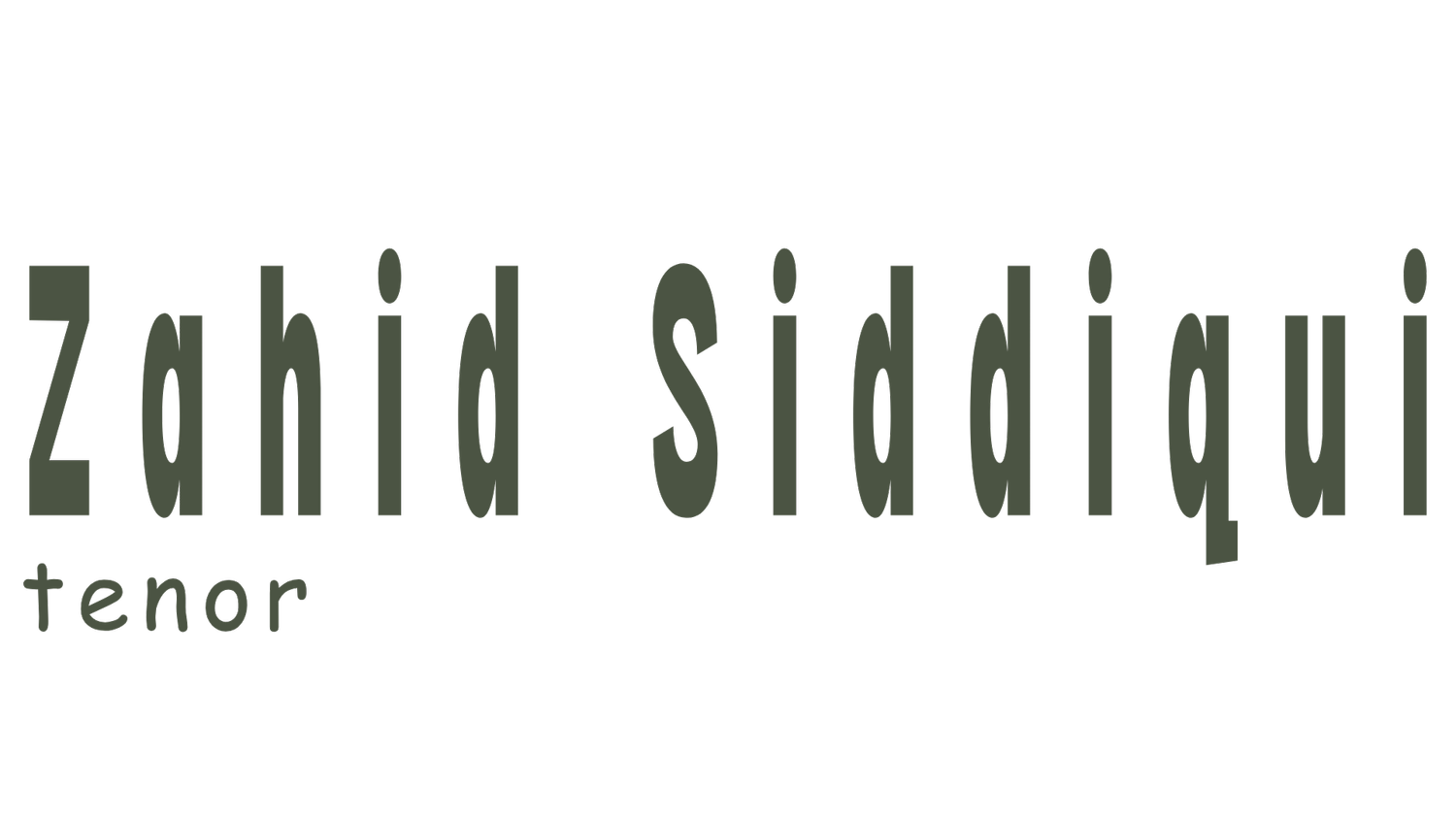 Zahid Siddiqui