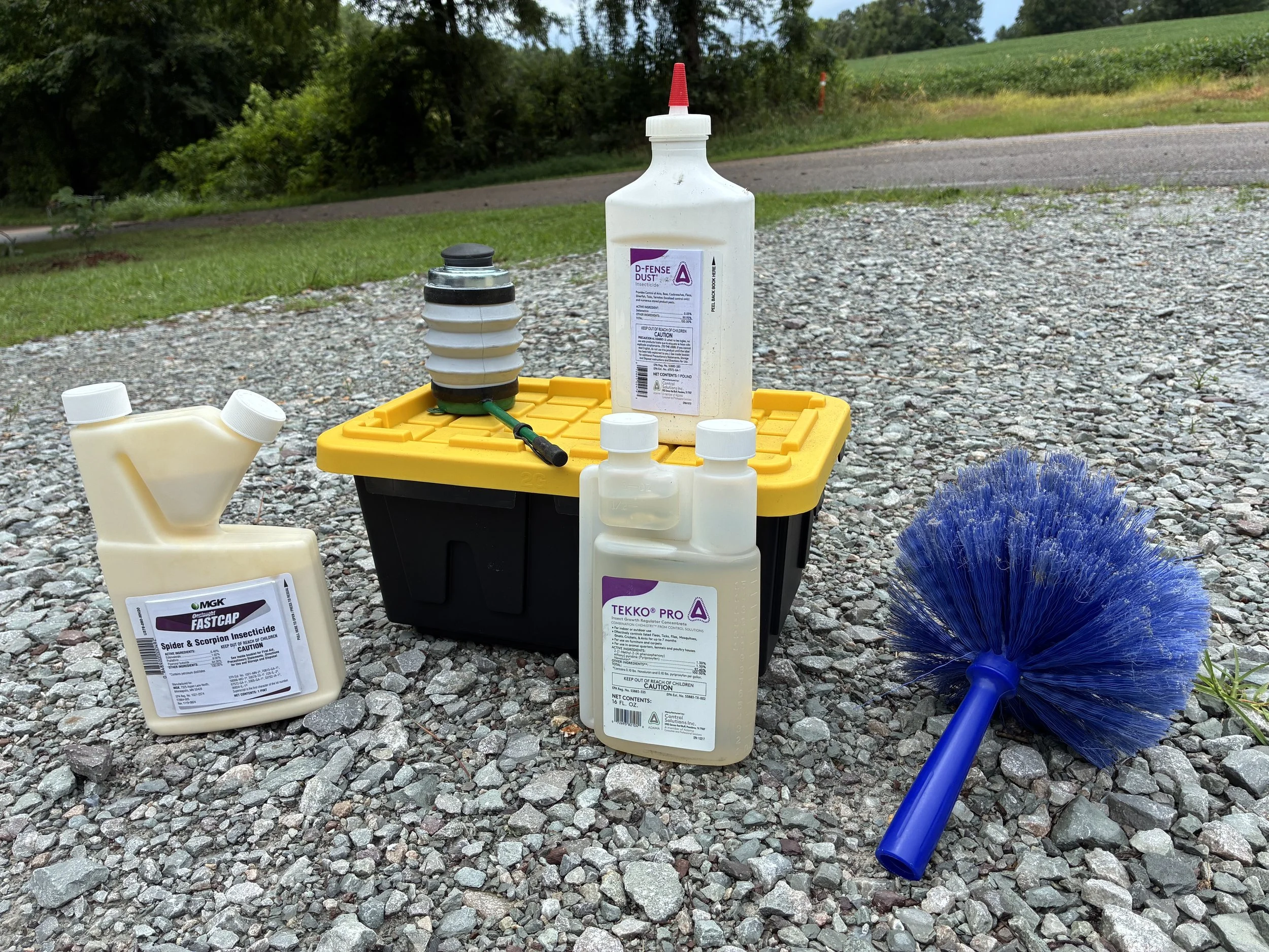 Brown Recluse Treatment