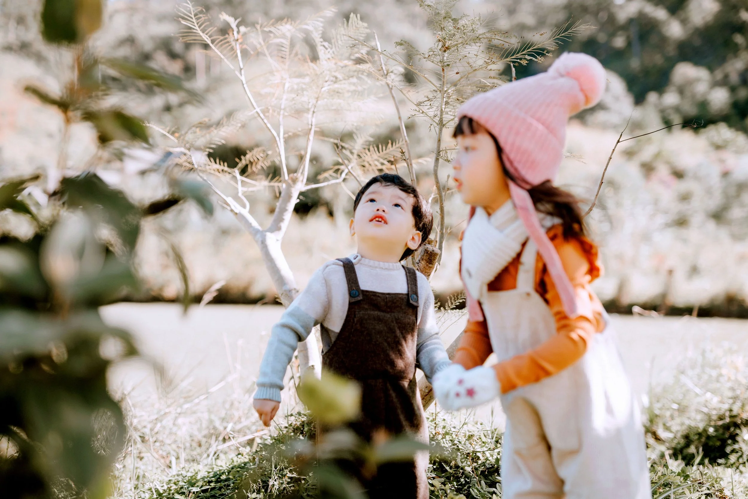 Two young children, a boy and a girl, outdoors among trees with light-colored leaves. The girl is wearing a pink knit hat with a pompom and an orange jacket, while the boy is wearing a gray sweater with brown overalls. The girl is looking at the boy, who is looking up at the trees around them.
