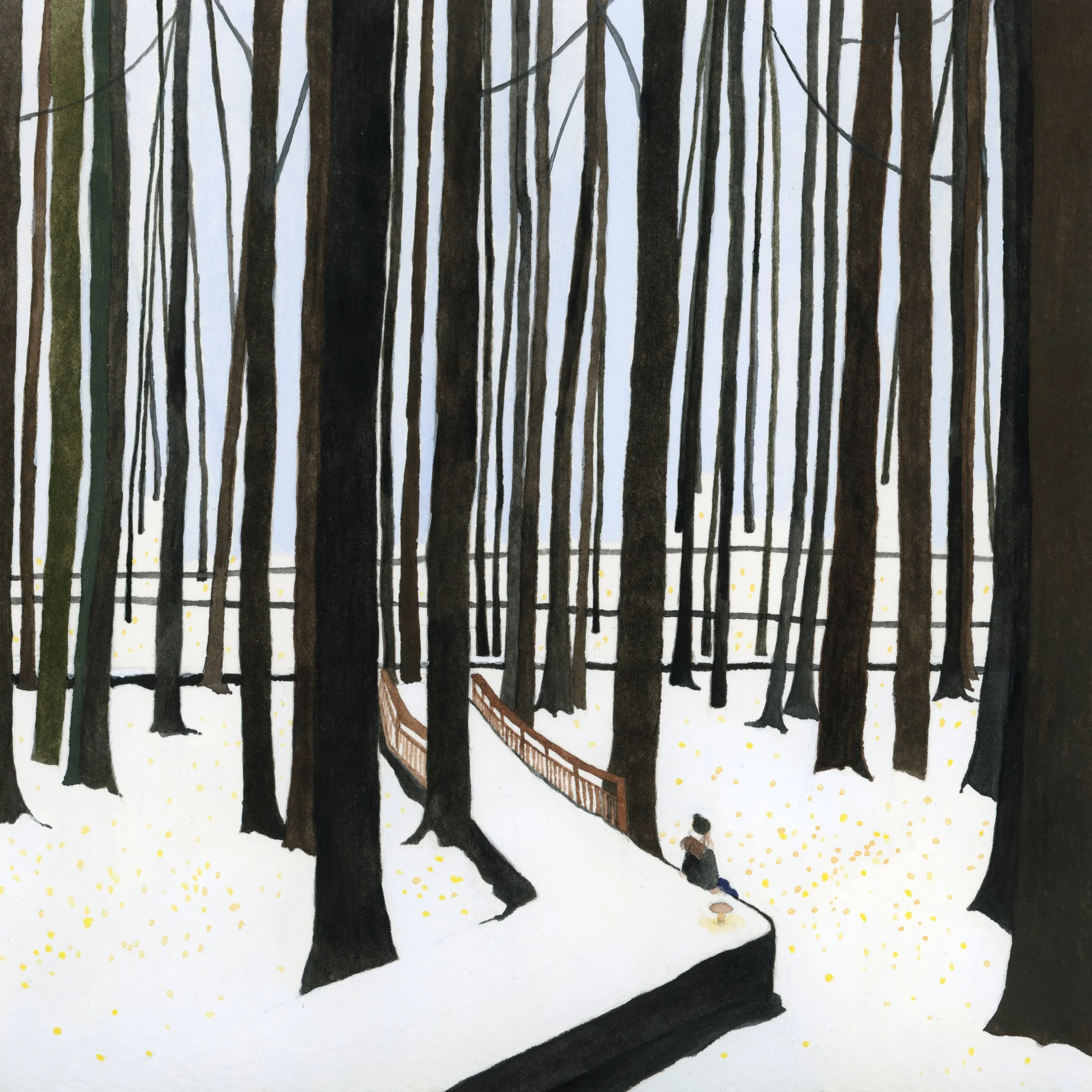 hearing the forest*