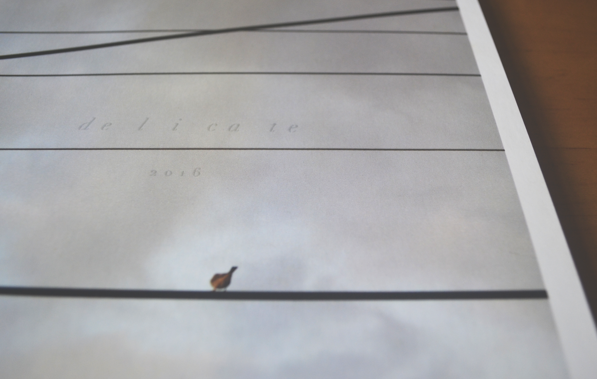 Portfolio Book (Delicate)