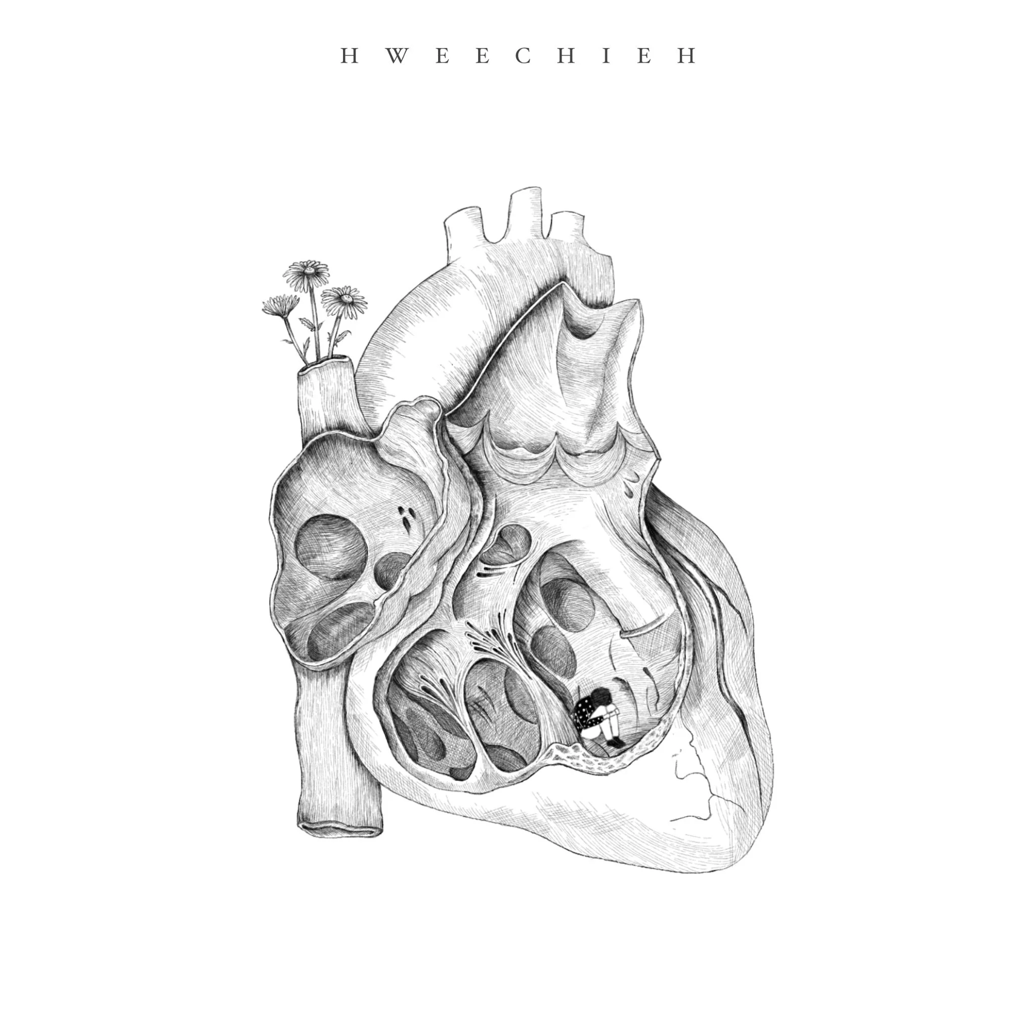 Heart of a Daisy