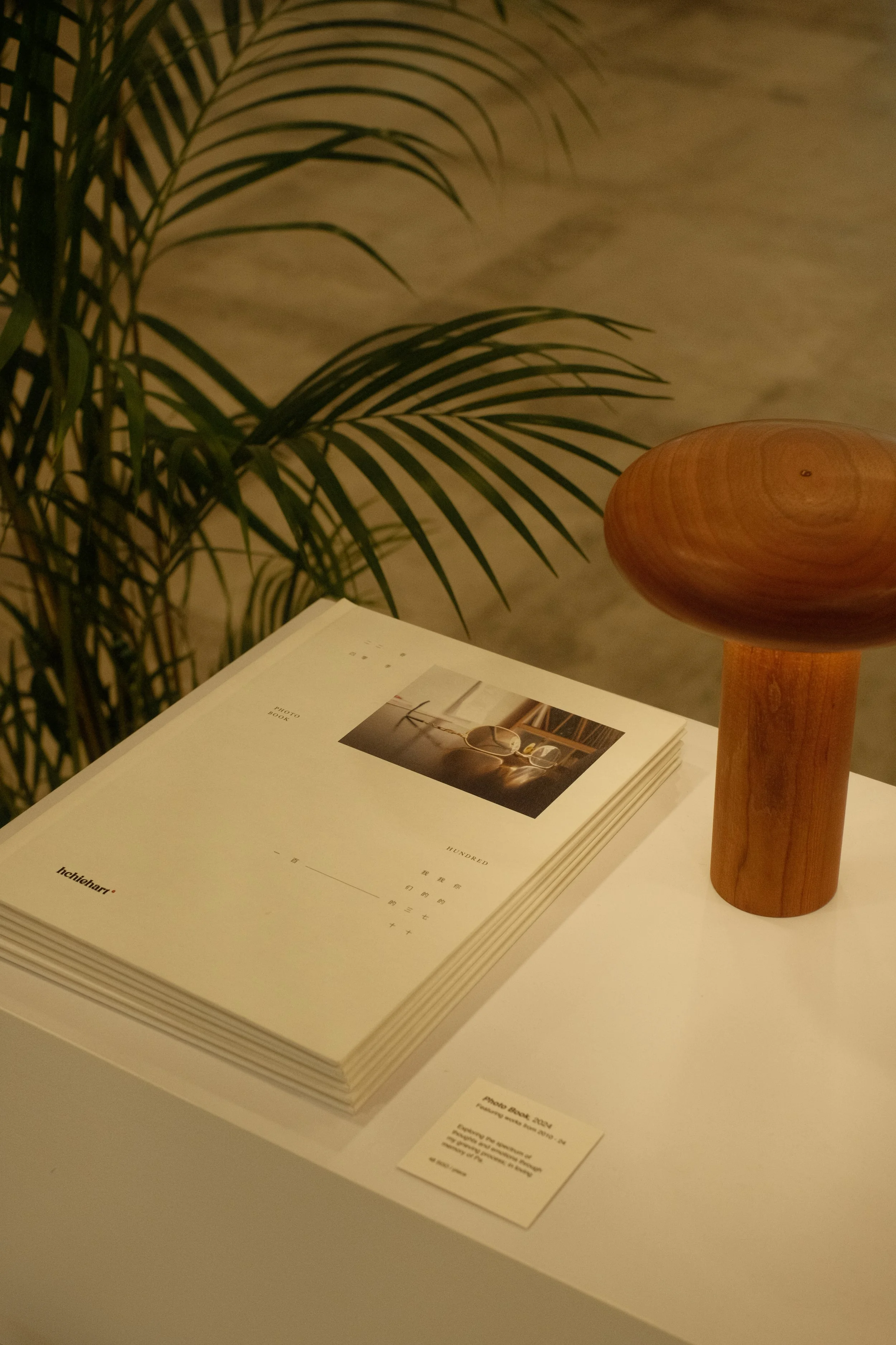 DSCF8657.JPG