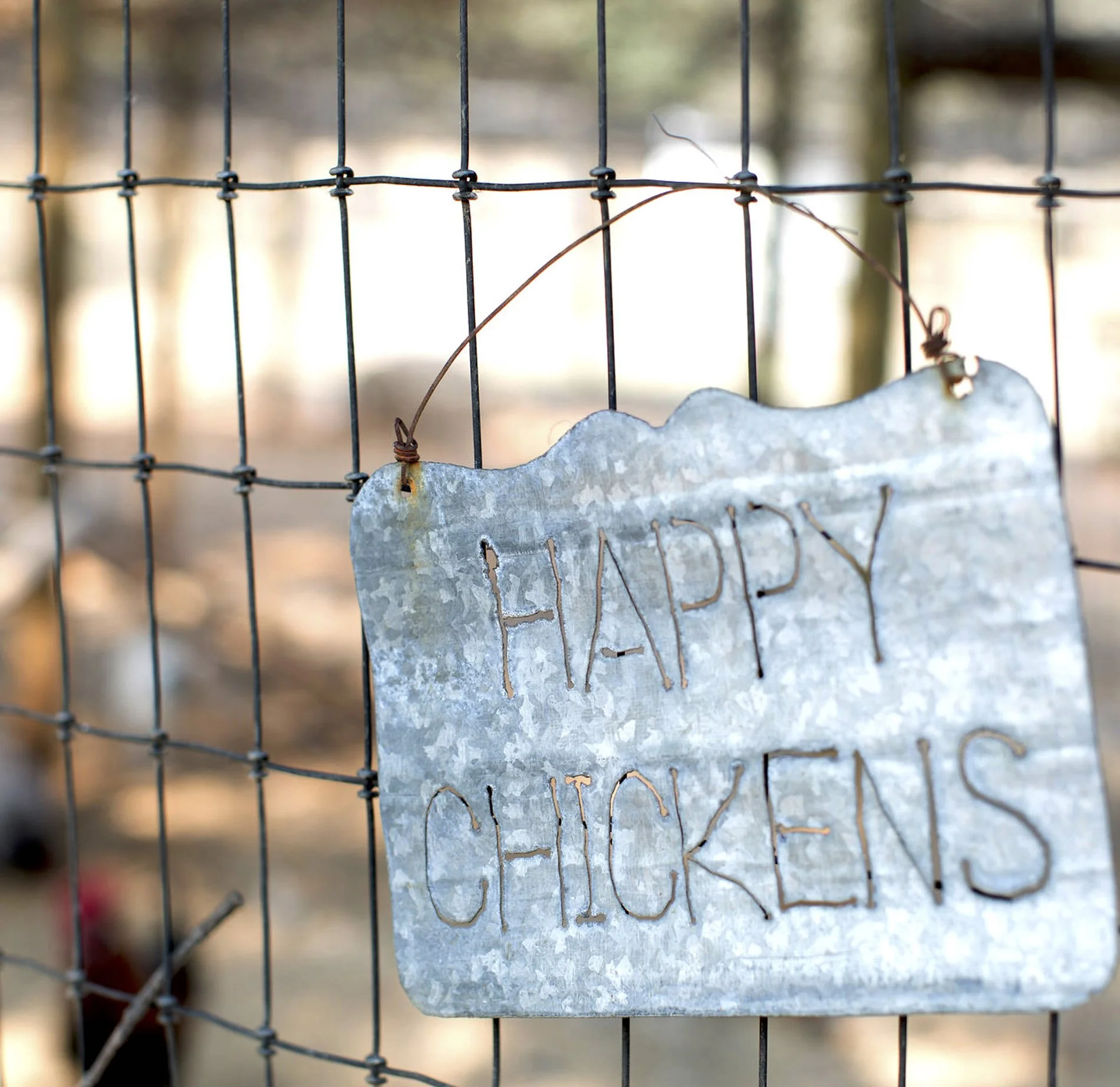 PepperJackFarmChickens.jpg