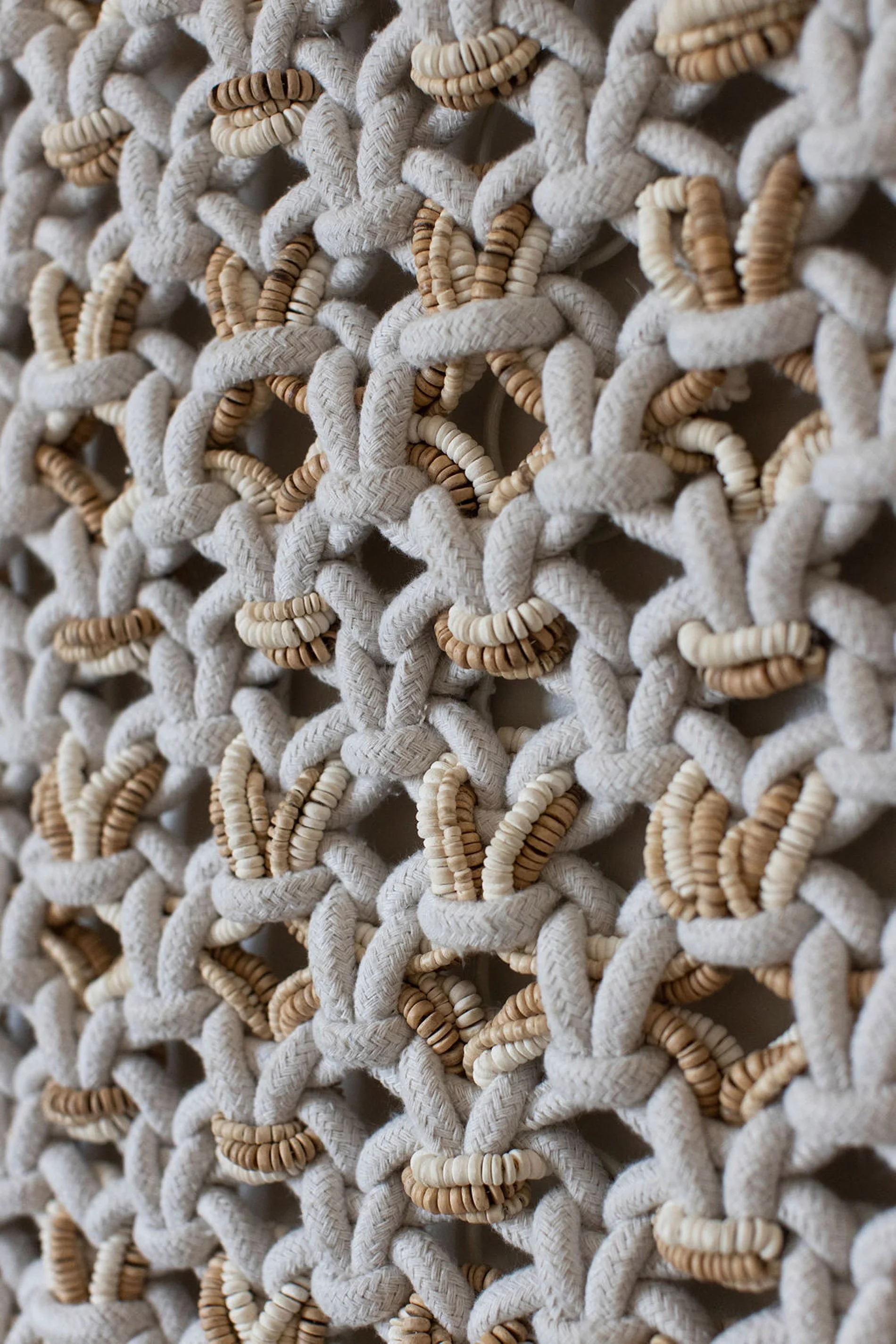 PepperJack-MichelleDrewesPhotography_G0A9048-Final.jpg