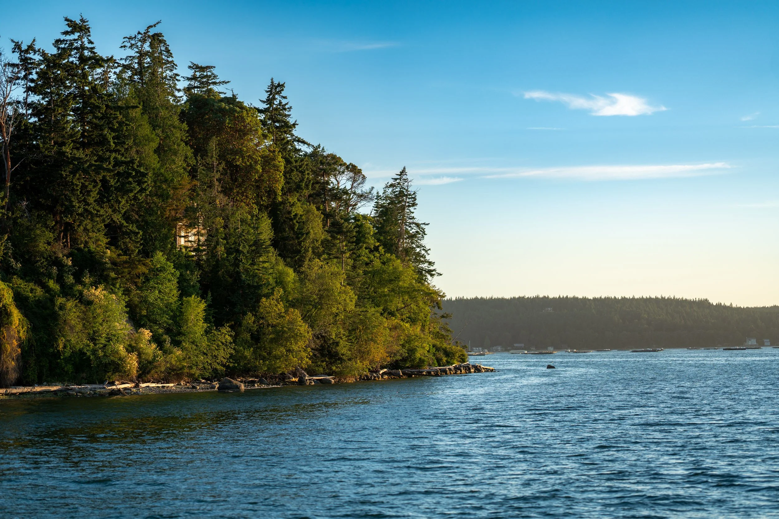 penncove3.jpg