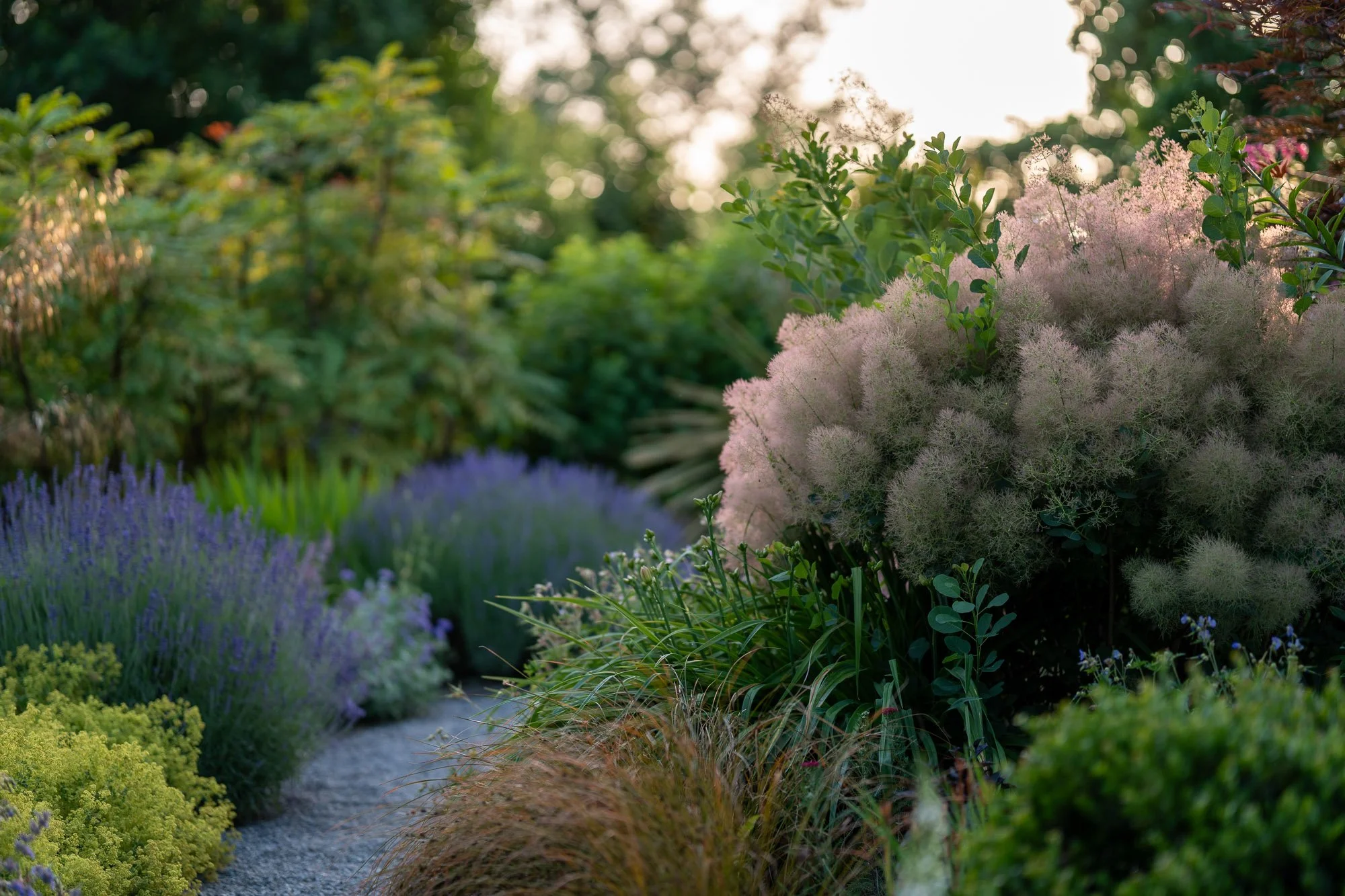 bellevue-botanical-garden-7.jpg