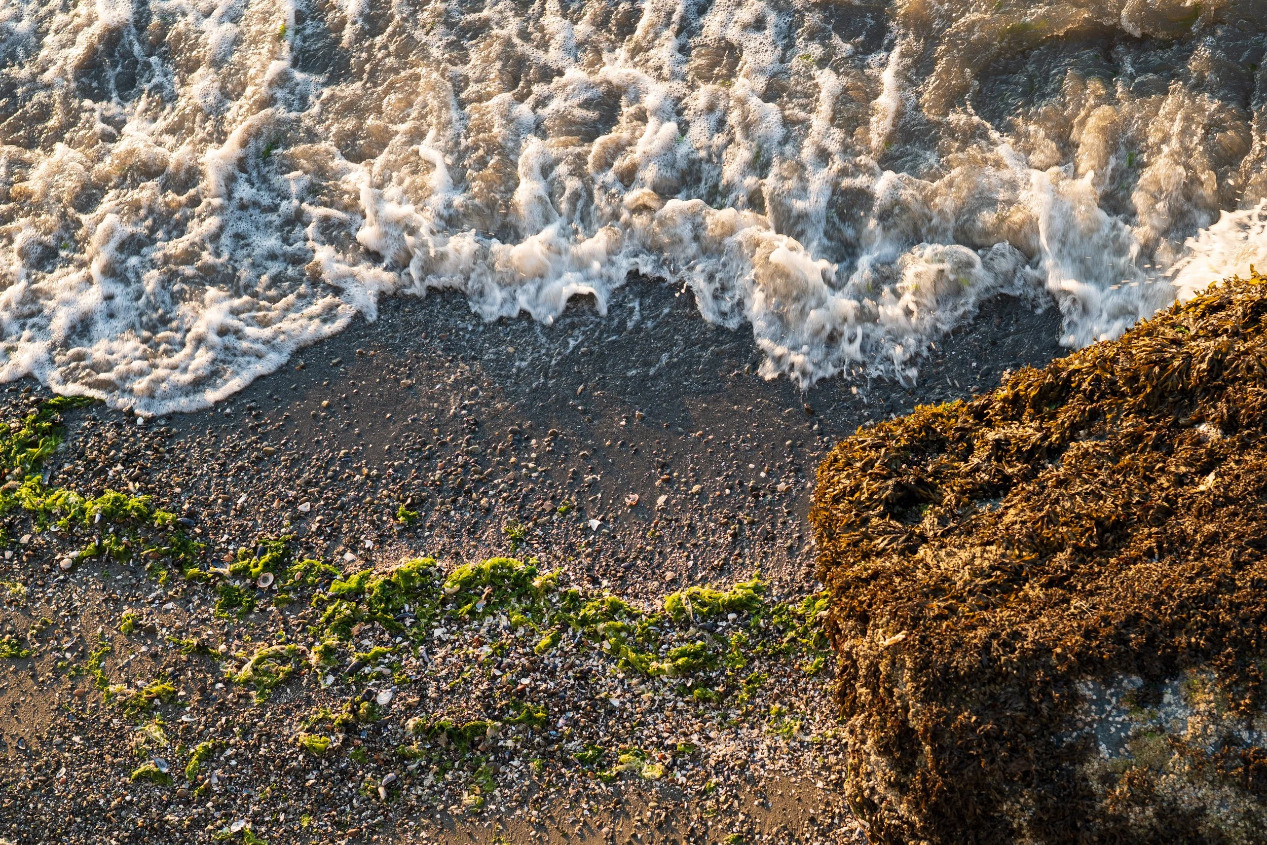 shore4.jpg