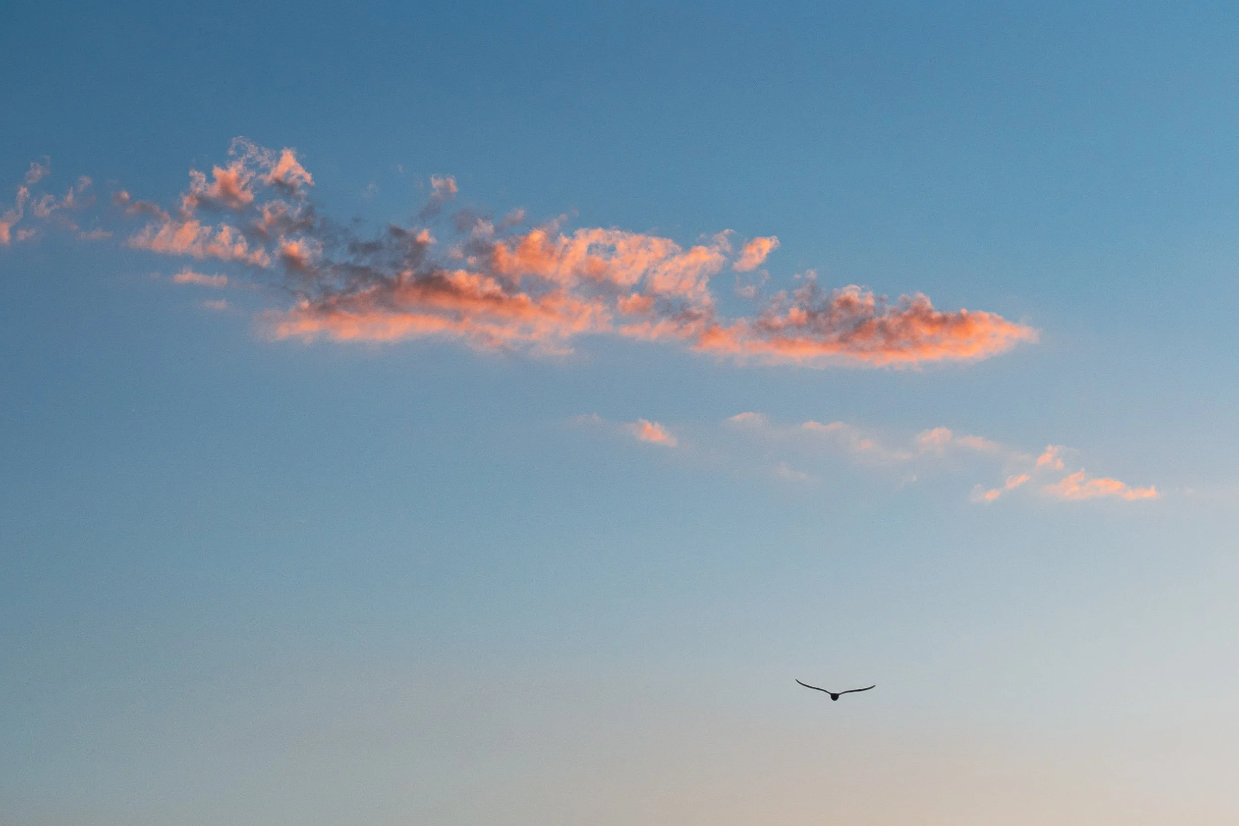 pinkclouds.jpg