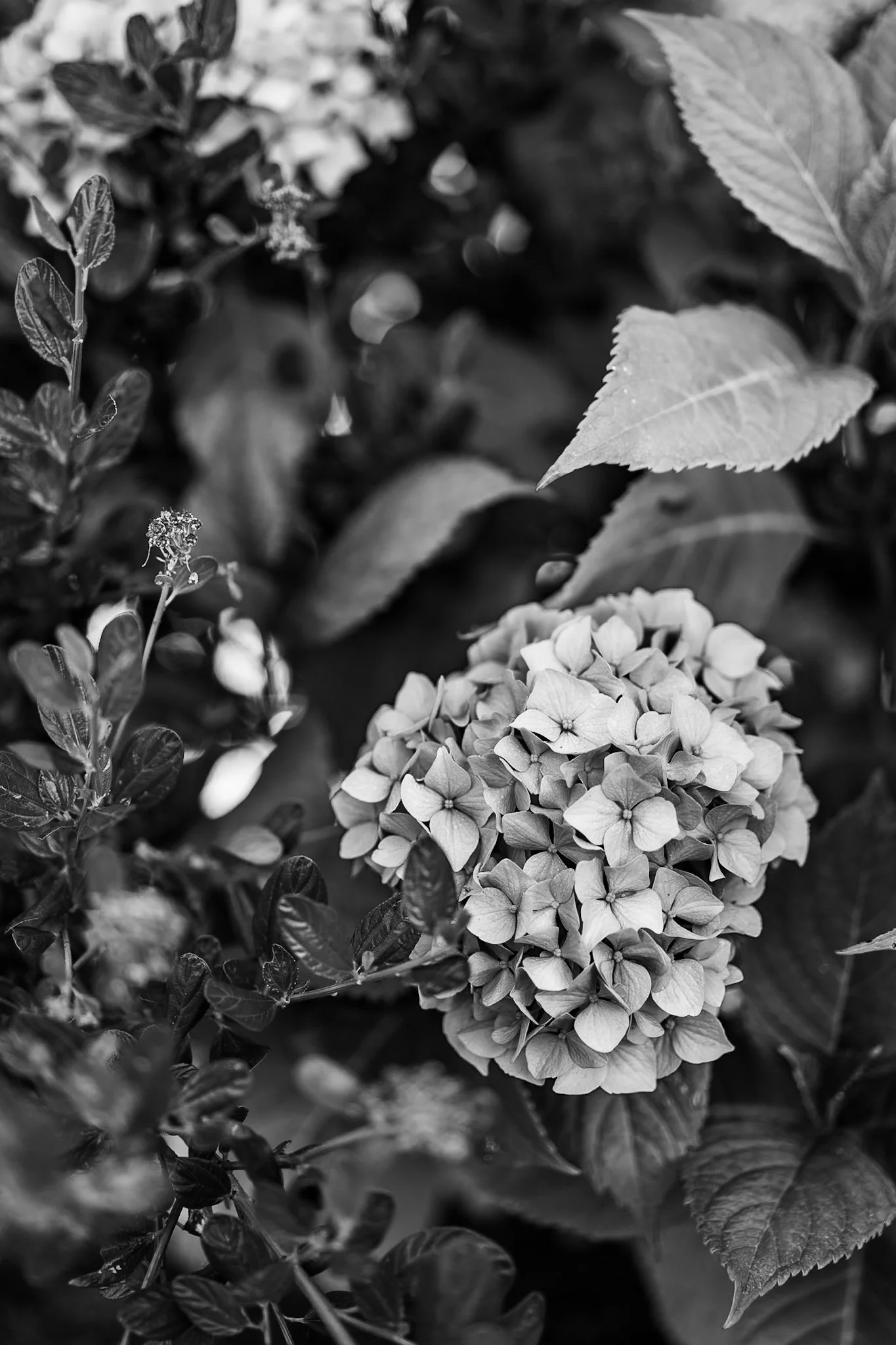 IMG_0283.jpeg