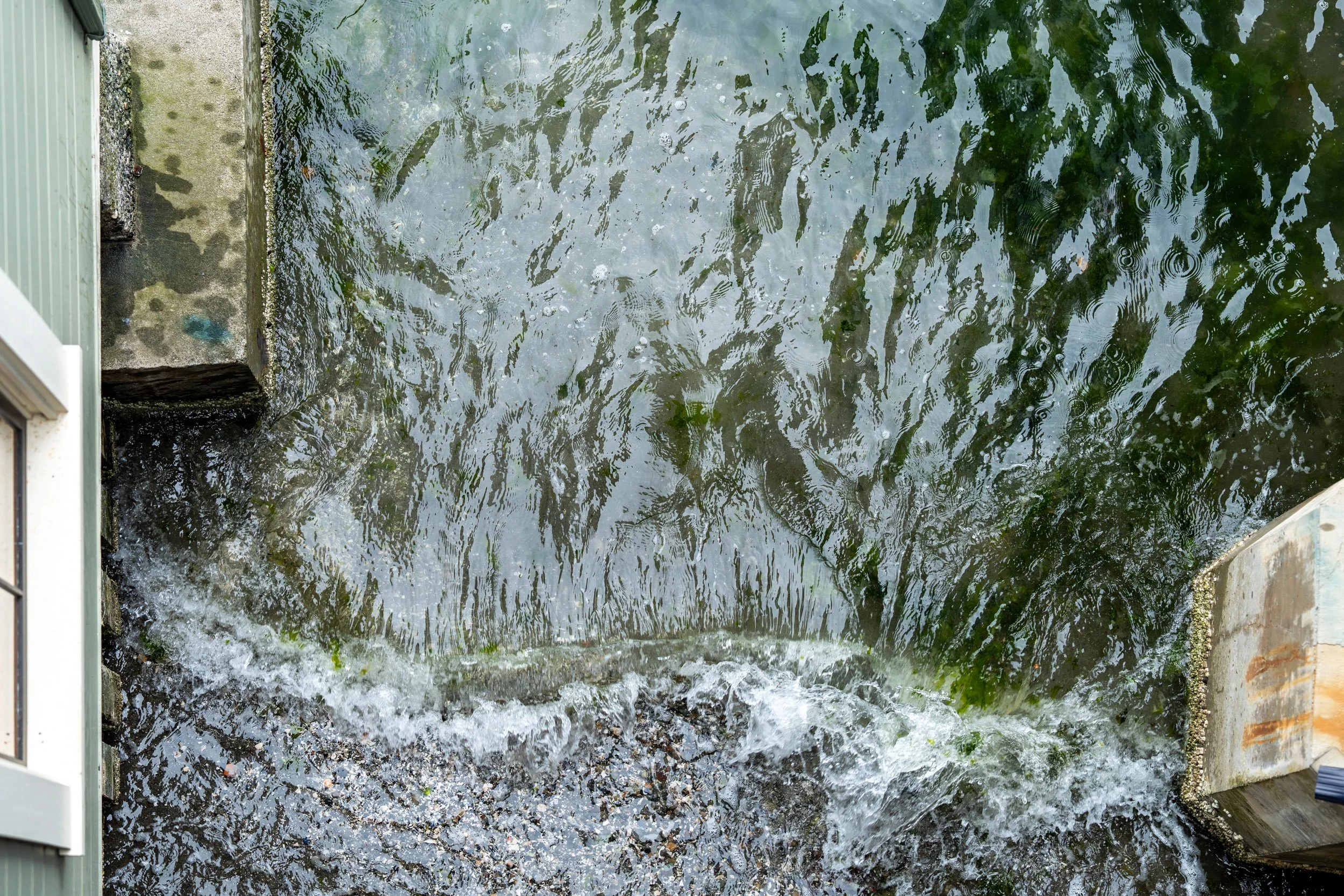 shore6.jpg