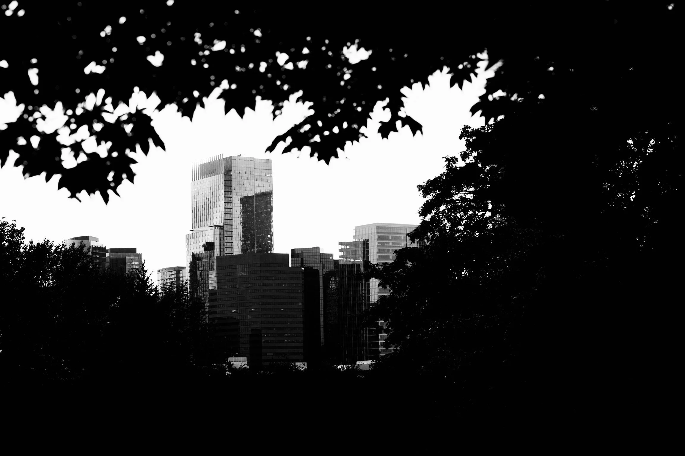 DSC00757.jpeg