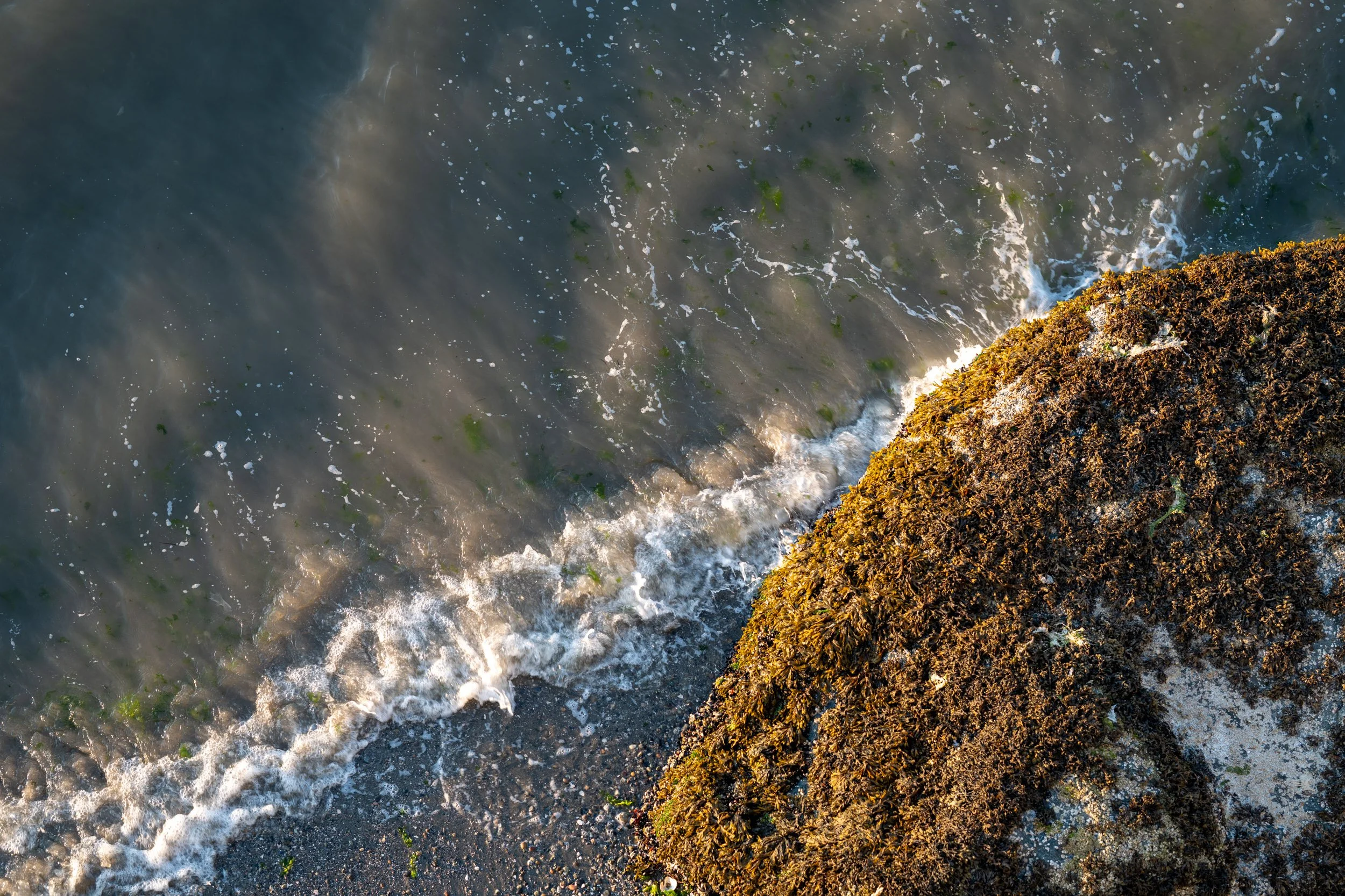 shore.jpg