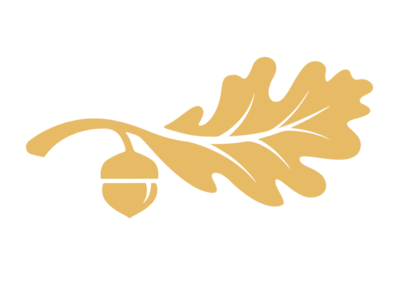 Country Oaks HOA II