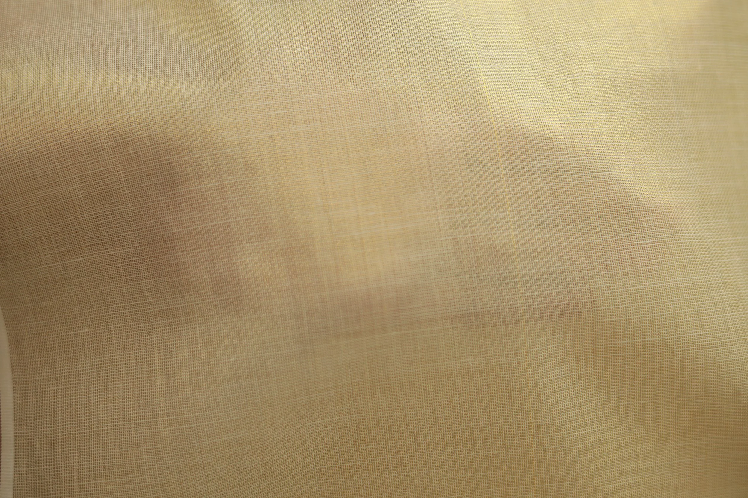 080A9501.JPG