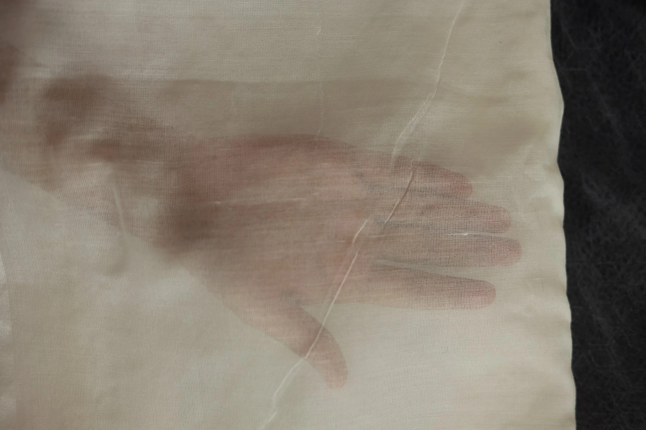 080A9512.JPG