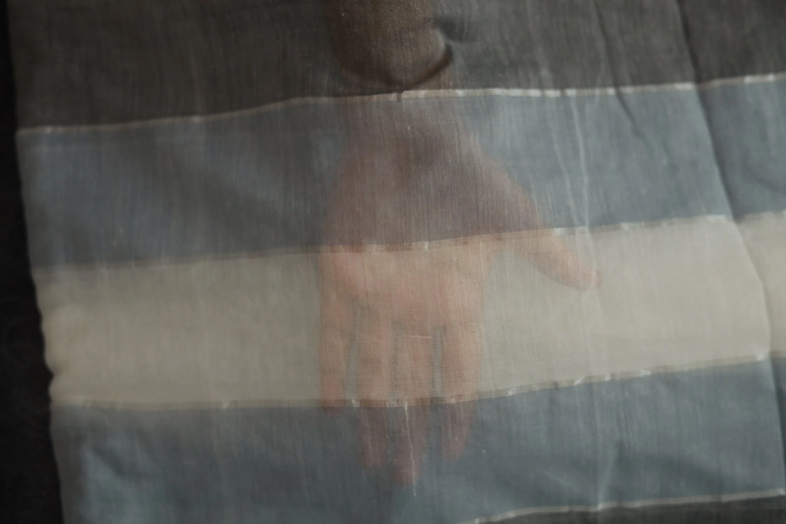 080A9507.JPG