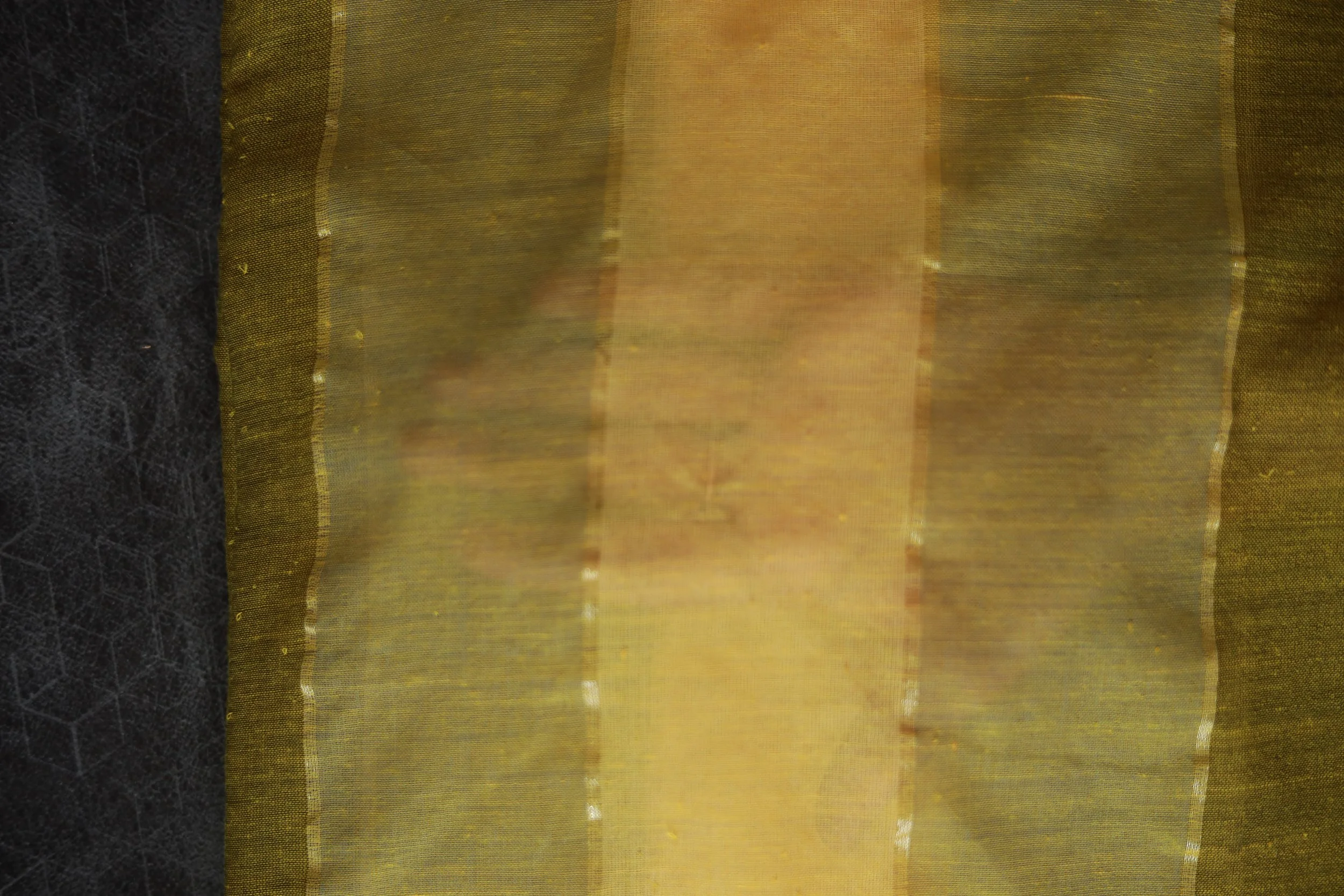 080A9517.JPG