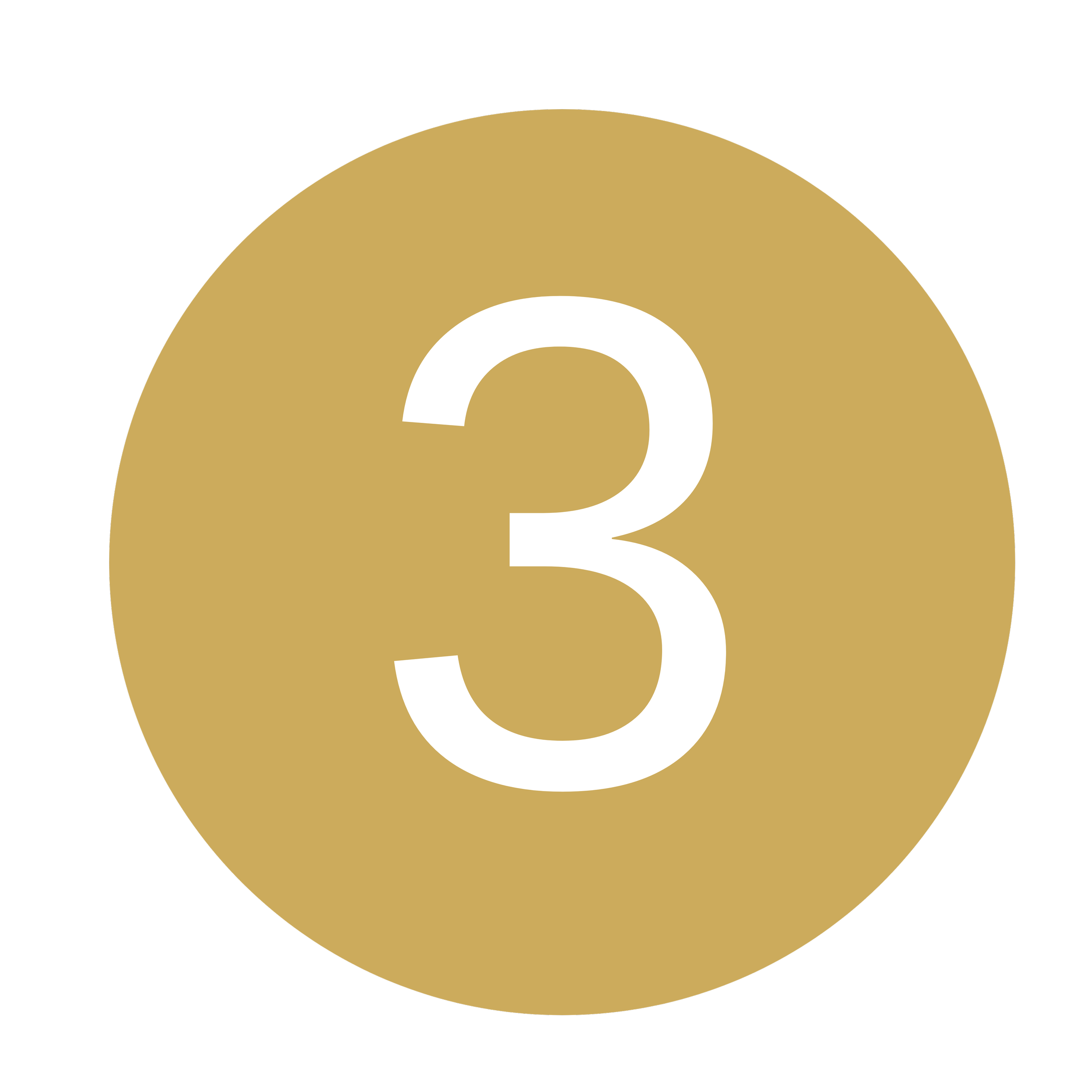a gold circle with a white number three inside of it