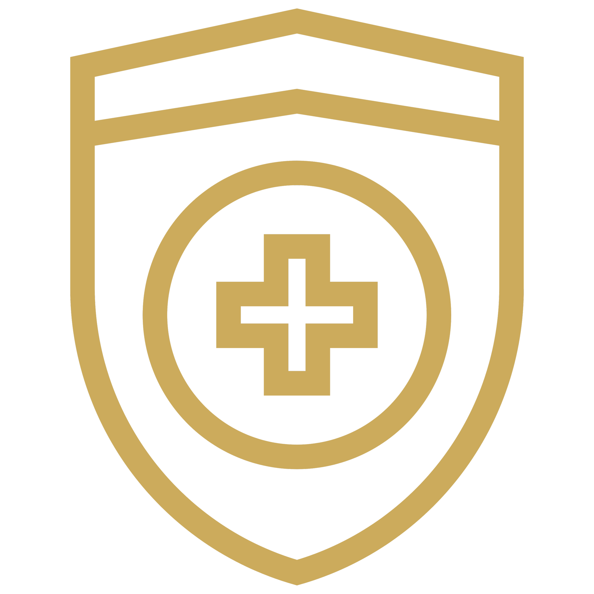 Gold outline of a sheild
