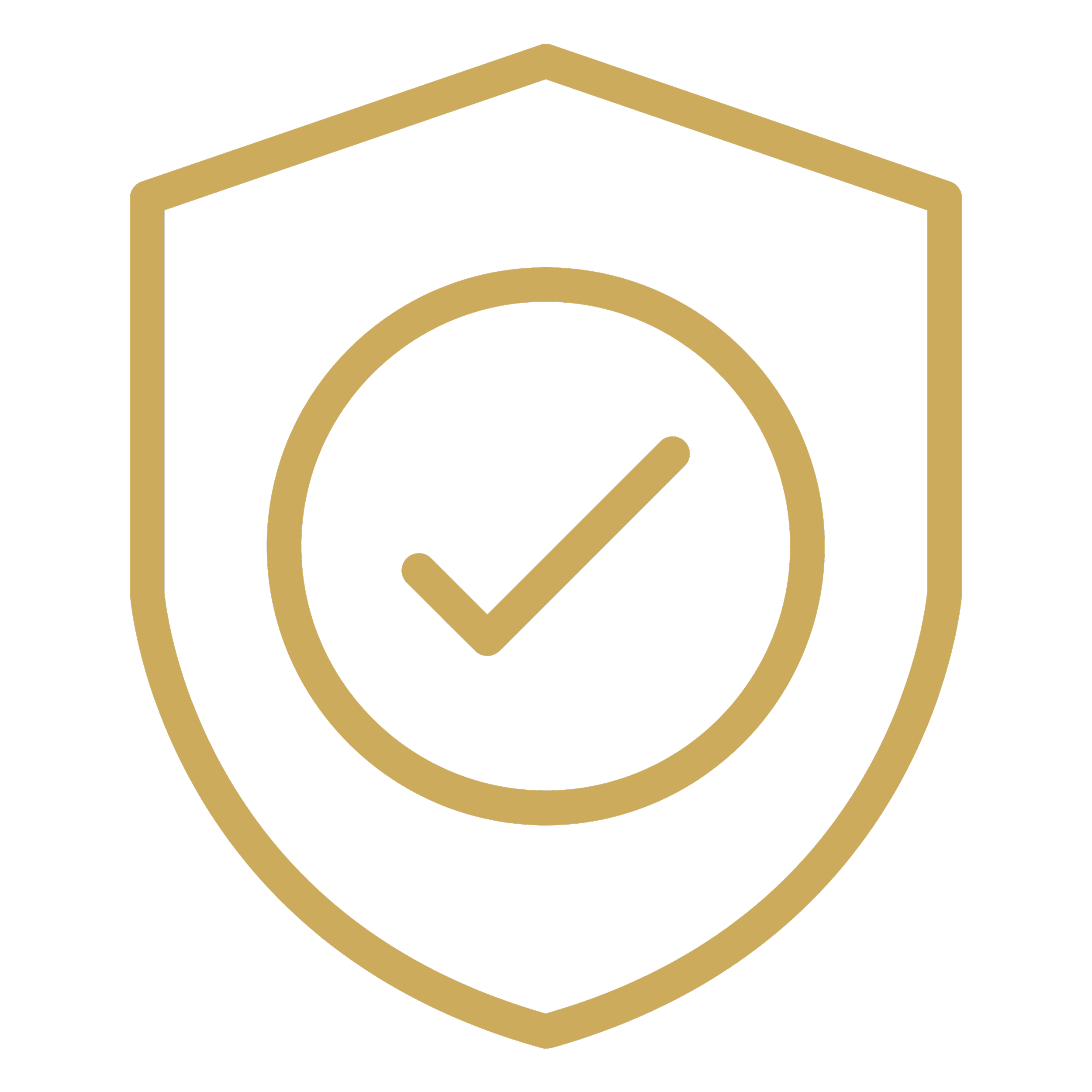 A black background with a gold octagon outline and a gold clock with a checkmark in the center.