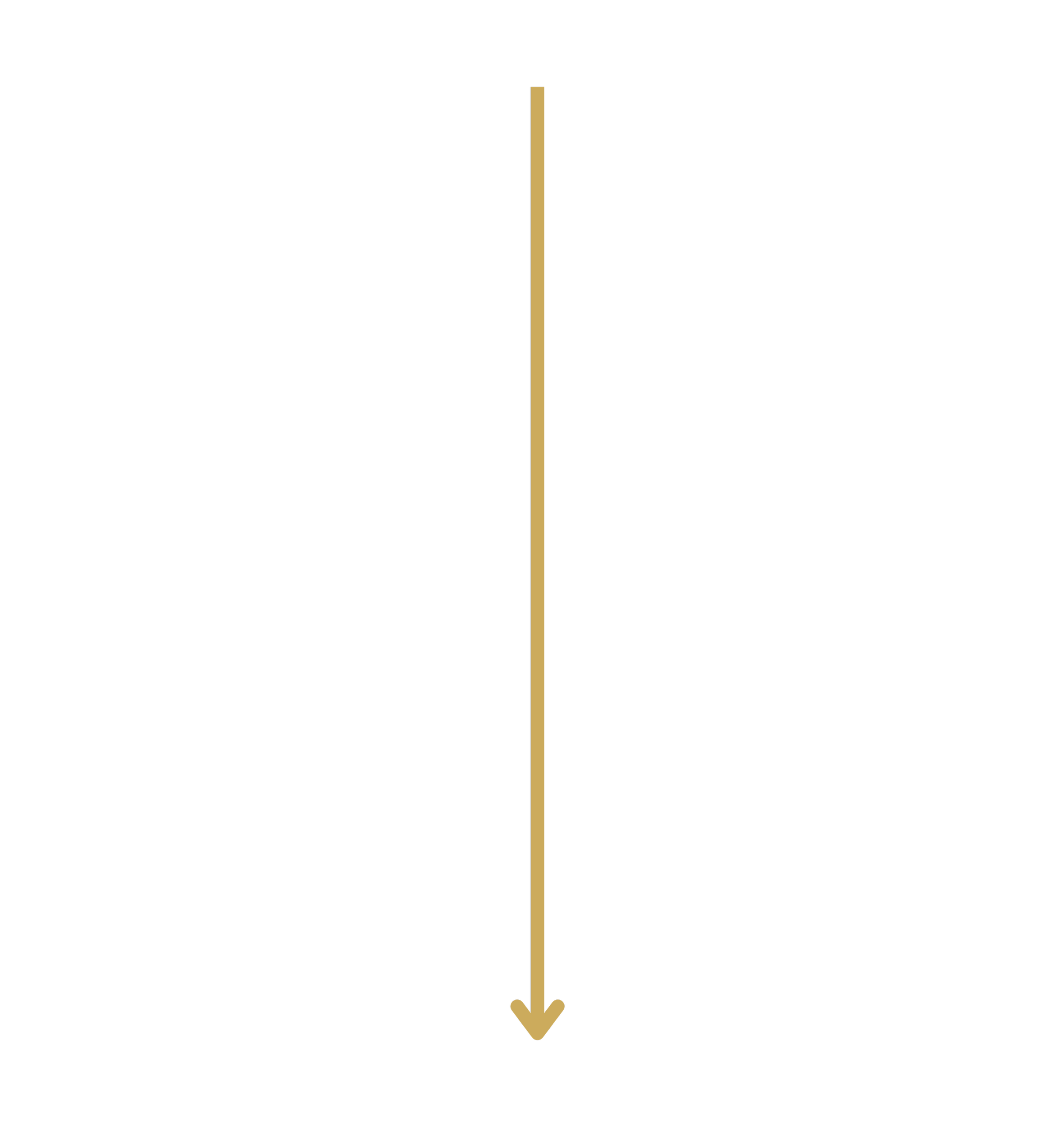 an arrow pointing downward