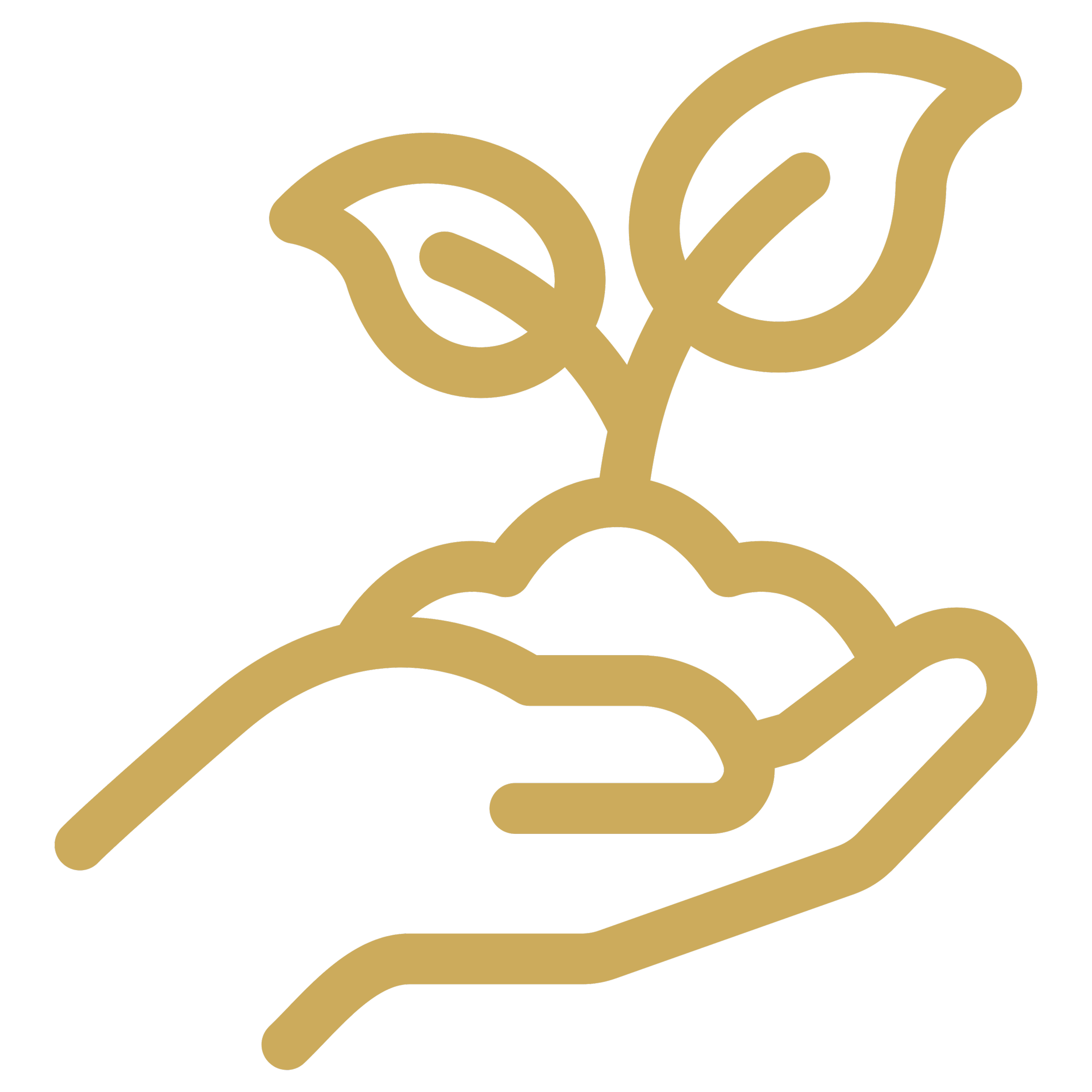 a hand holding a plant with some soil in a gold outline
