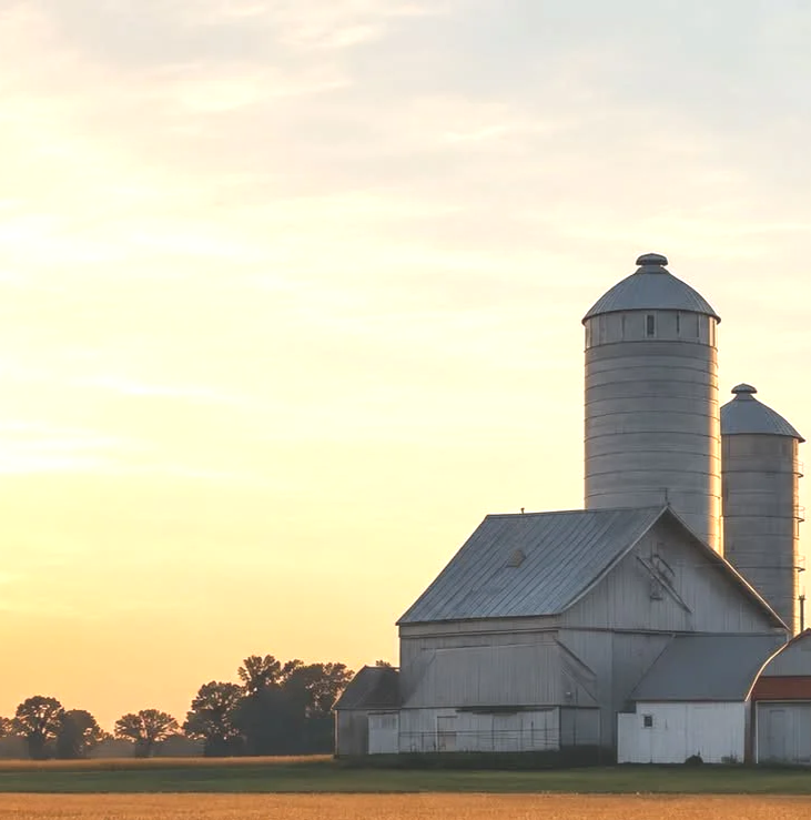 A white traditional barn with two silos in a rural setting at sunset.