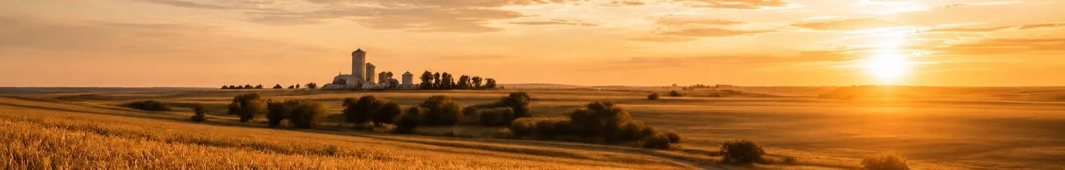 An expansive rural landscape during sunset with golden fields, a few trees, and a farm with silos in the distance.