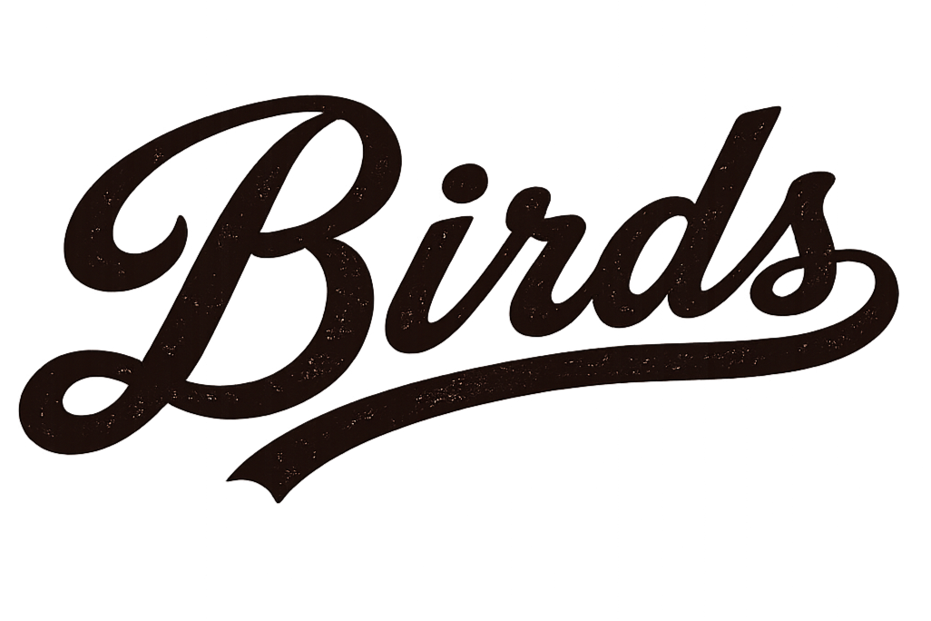 Bird's