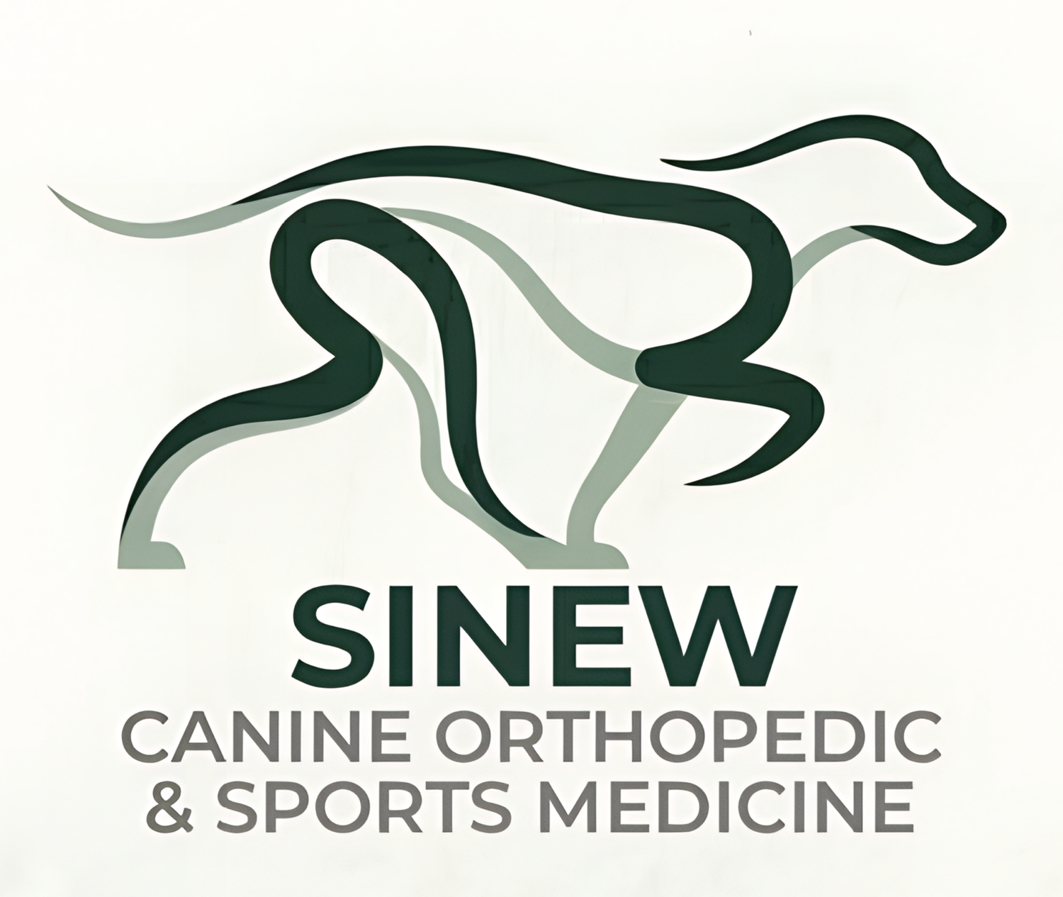 Sinew Canine Orthopedic &amp; Sports Medicine