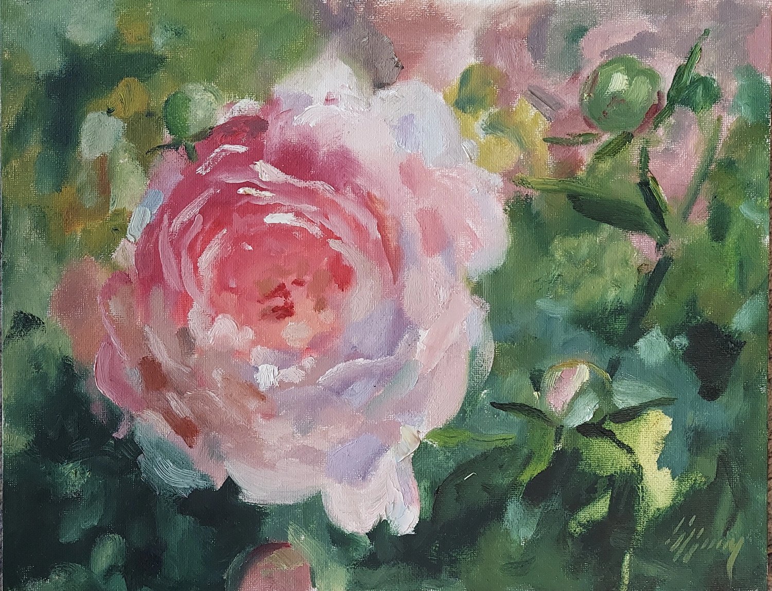 An impressionistic painting of a pink and white peony flower with green leaves and buds.