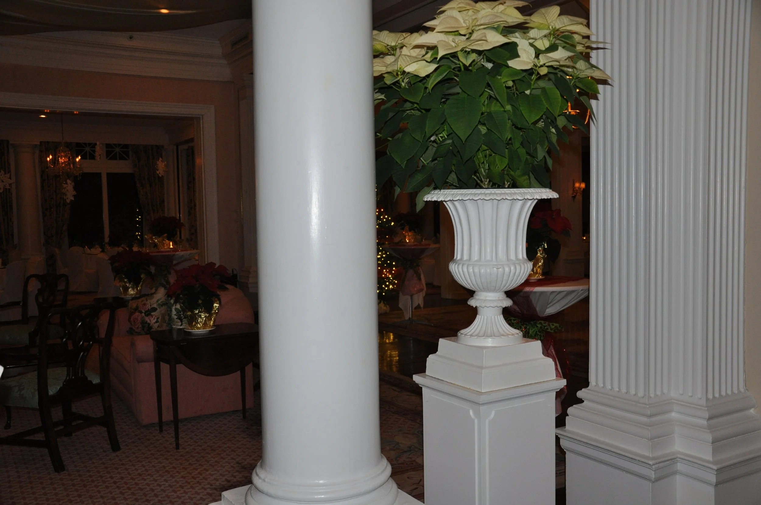 DSC_0021.JPG
