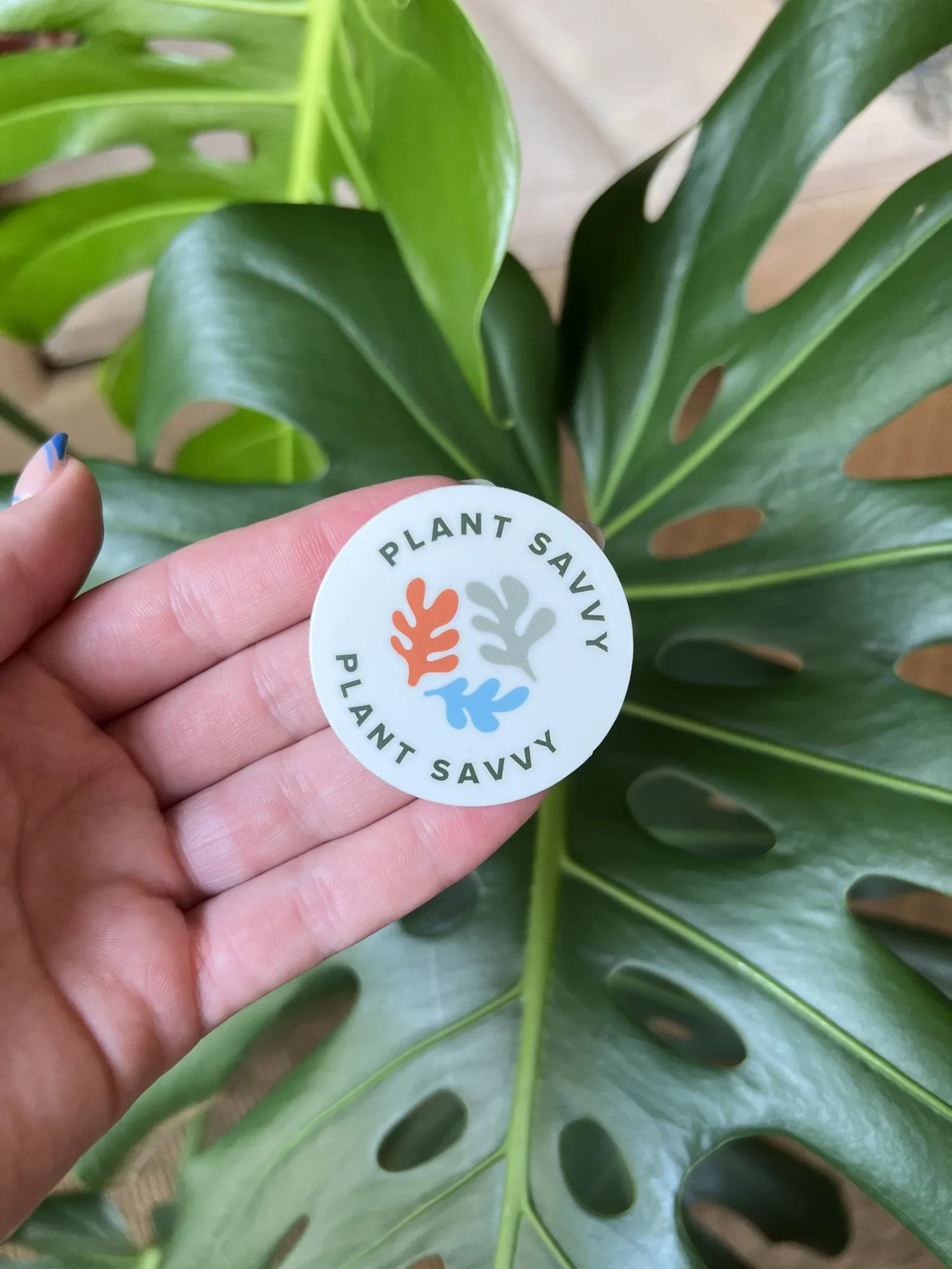 Plant Savvy_Stickers_Cream_2.webp