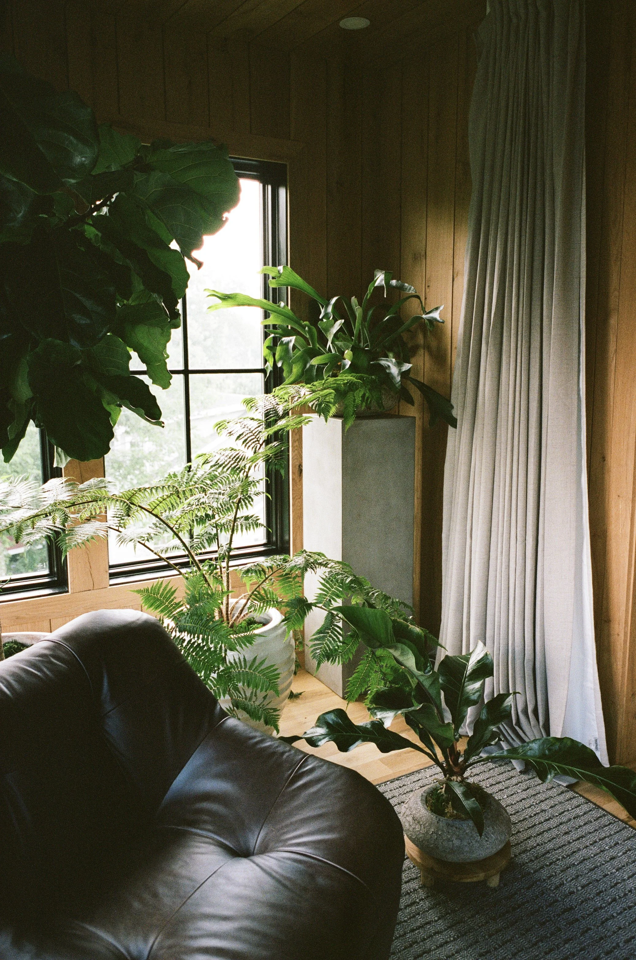 Plant Savvy, Heathers, Nashville, TN