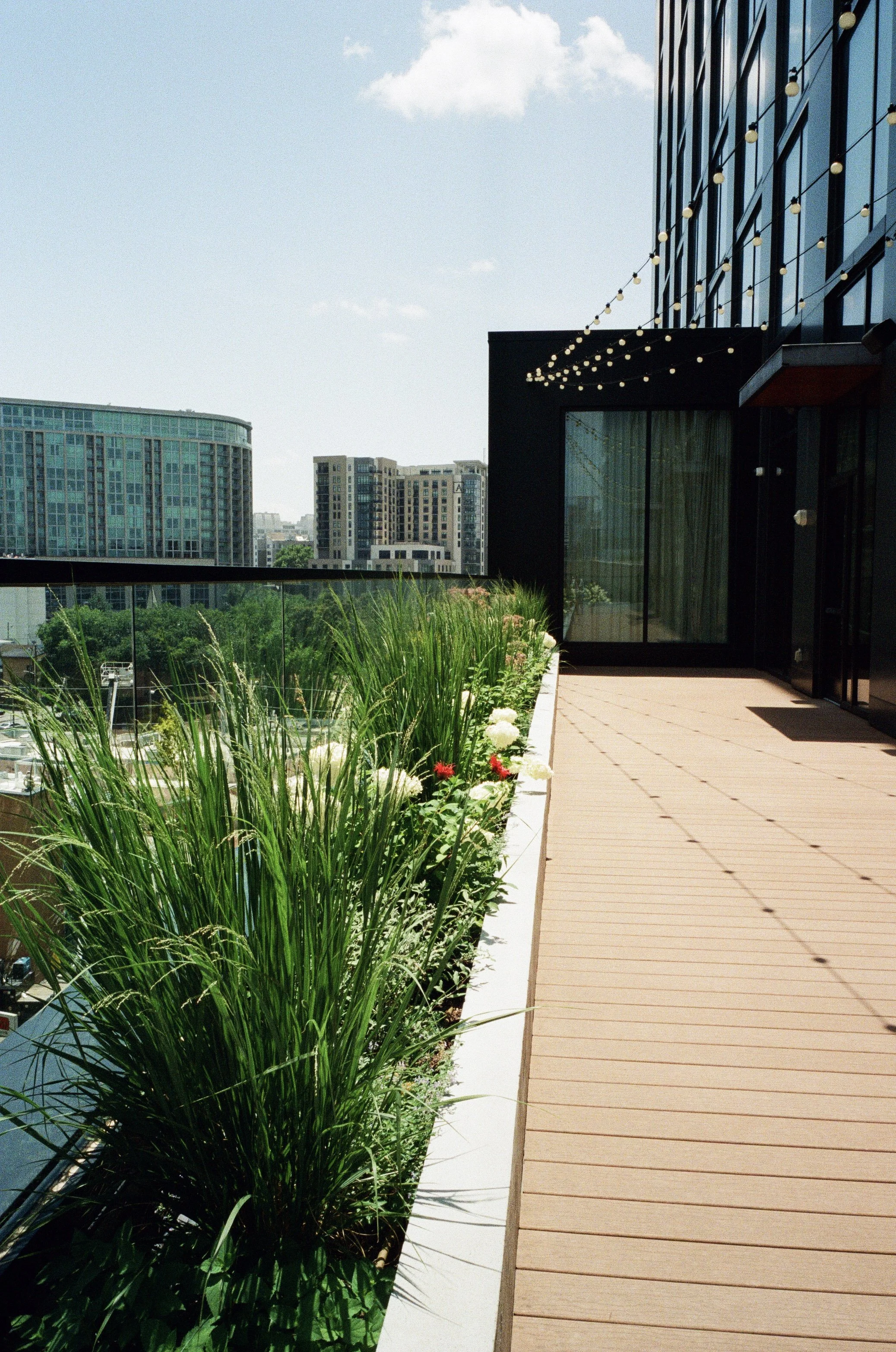 Plant Savvy, Downtown Hotel, Nashville, TN