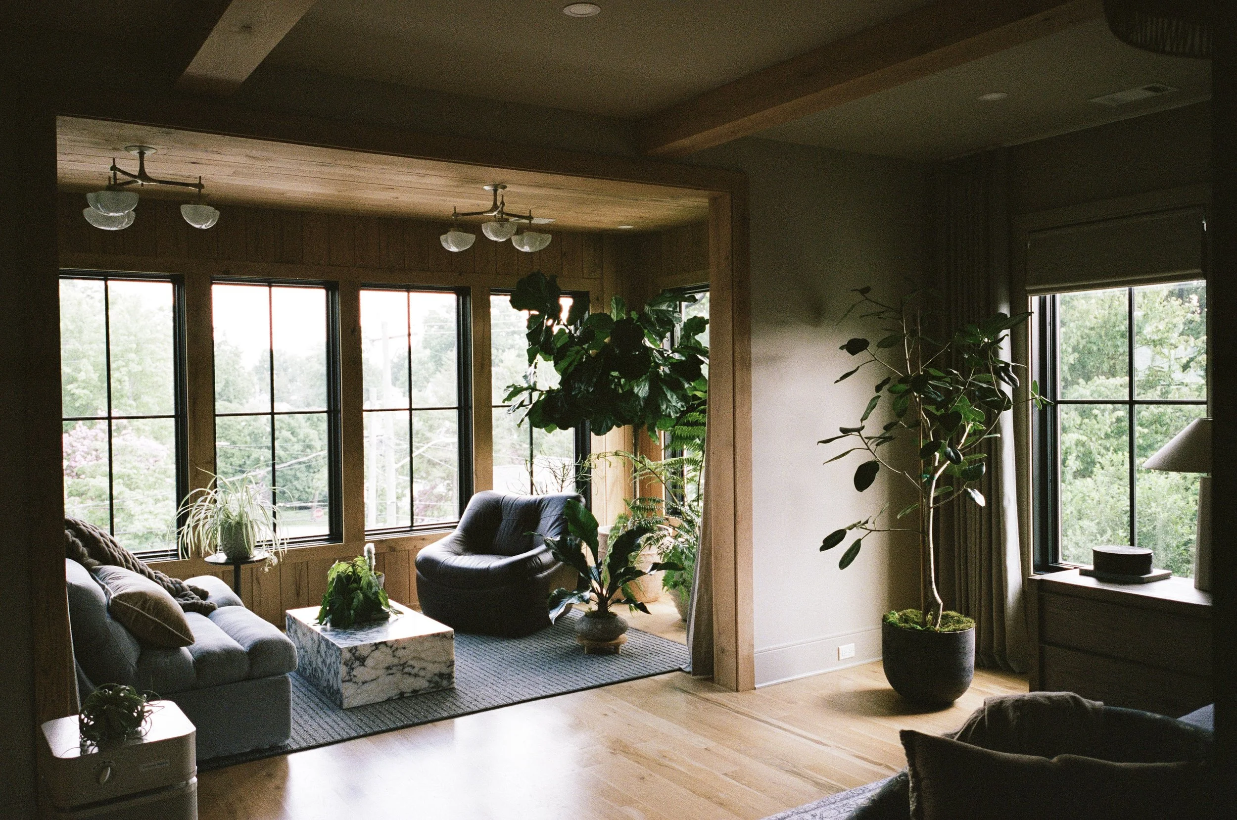 Plant Savvy, Sylvan Park Garden Retreat, Nashville, TN
