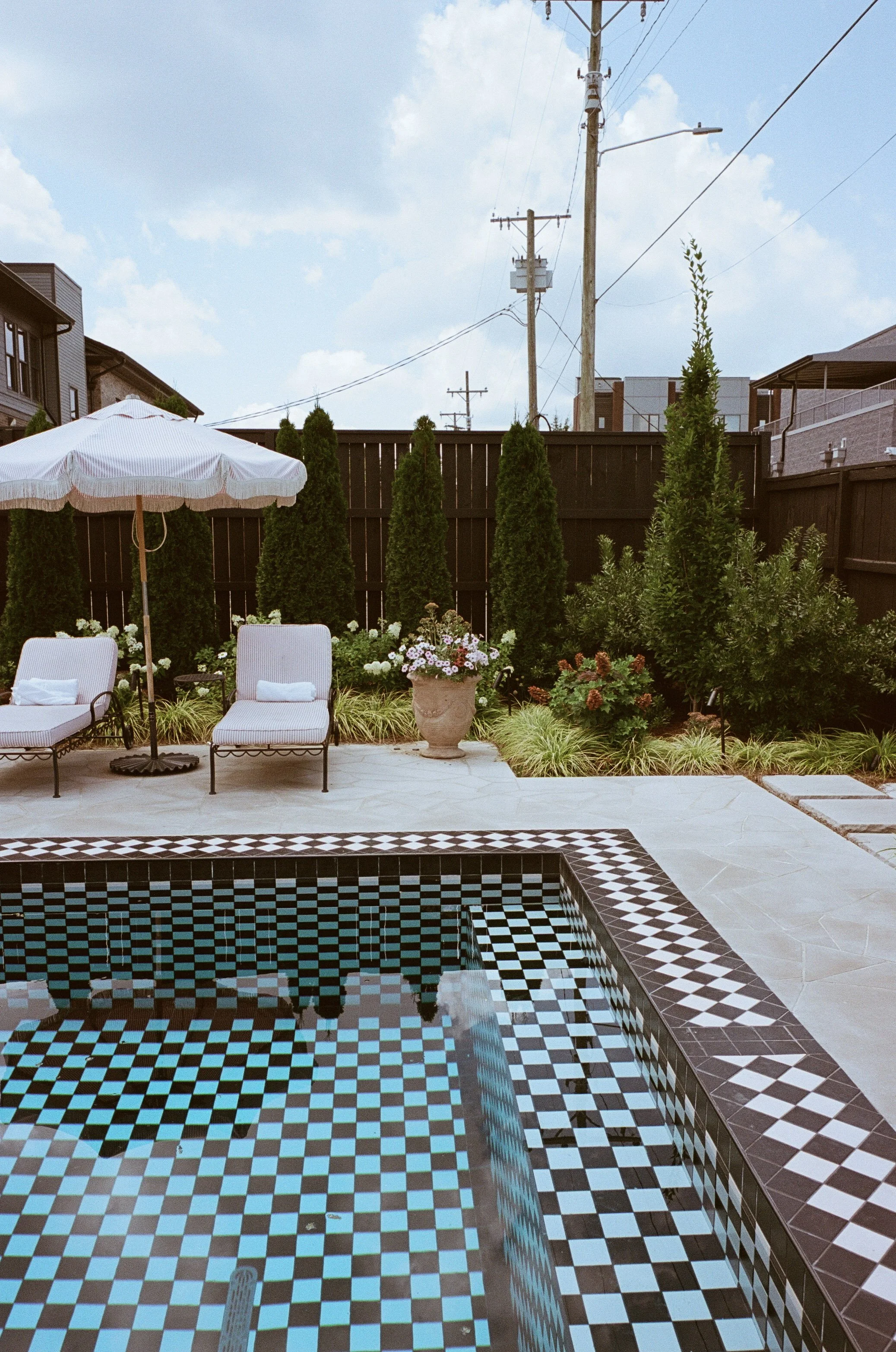 Plant Savvy-States of Leisure, 5 Points, Nashville