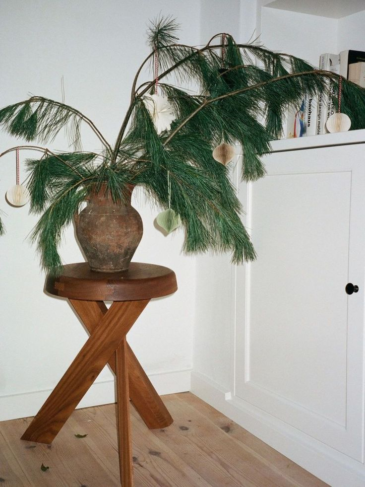Holiday Plant Styling Ideas from Houseplant Stylists