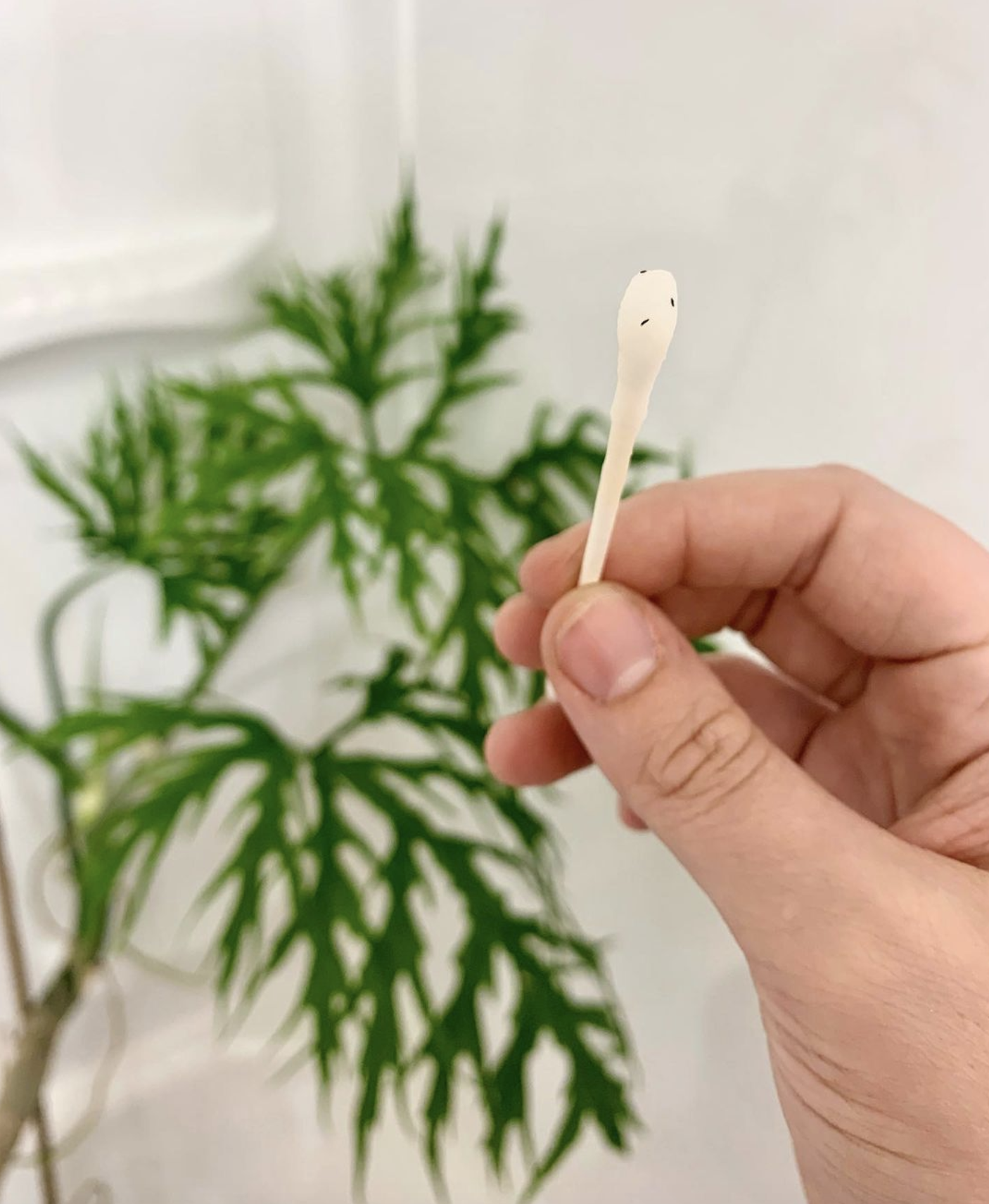 All About Thrips