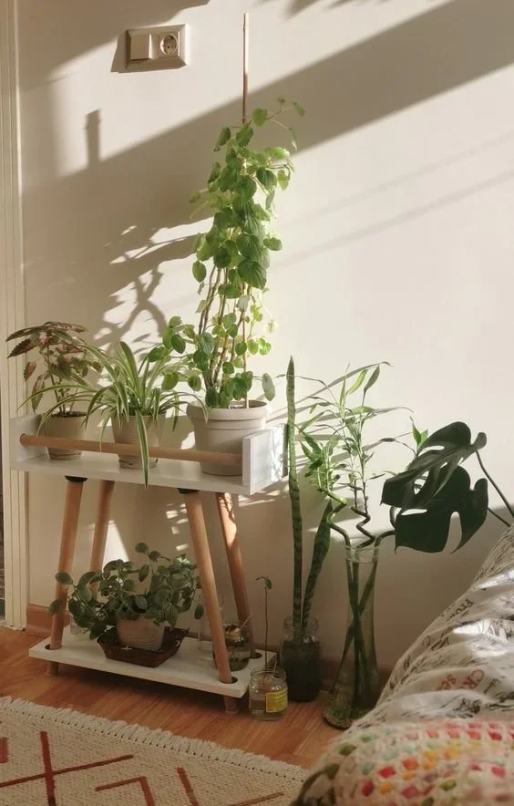 The Philosophy of Interior Design and Plantscaping